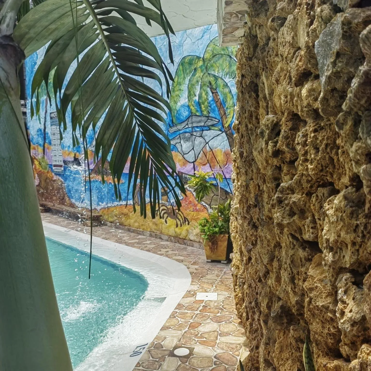 Swimming pool in Hotel Plaza Confort Inn