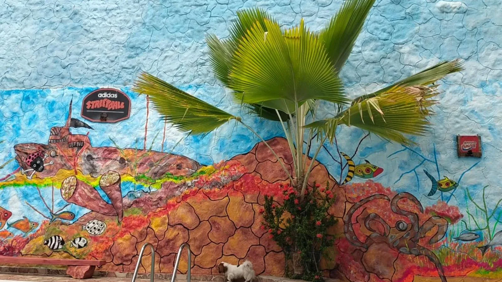 Swimming pool in Hotel Plaza Confort Inn