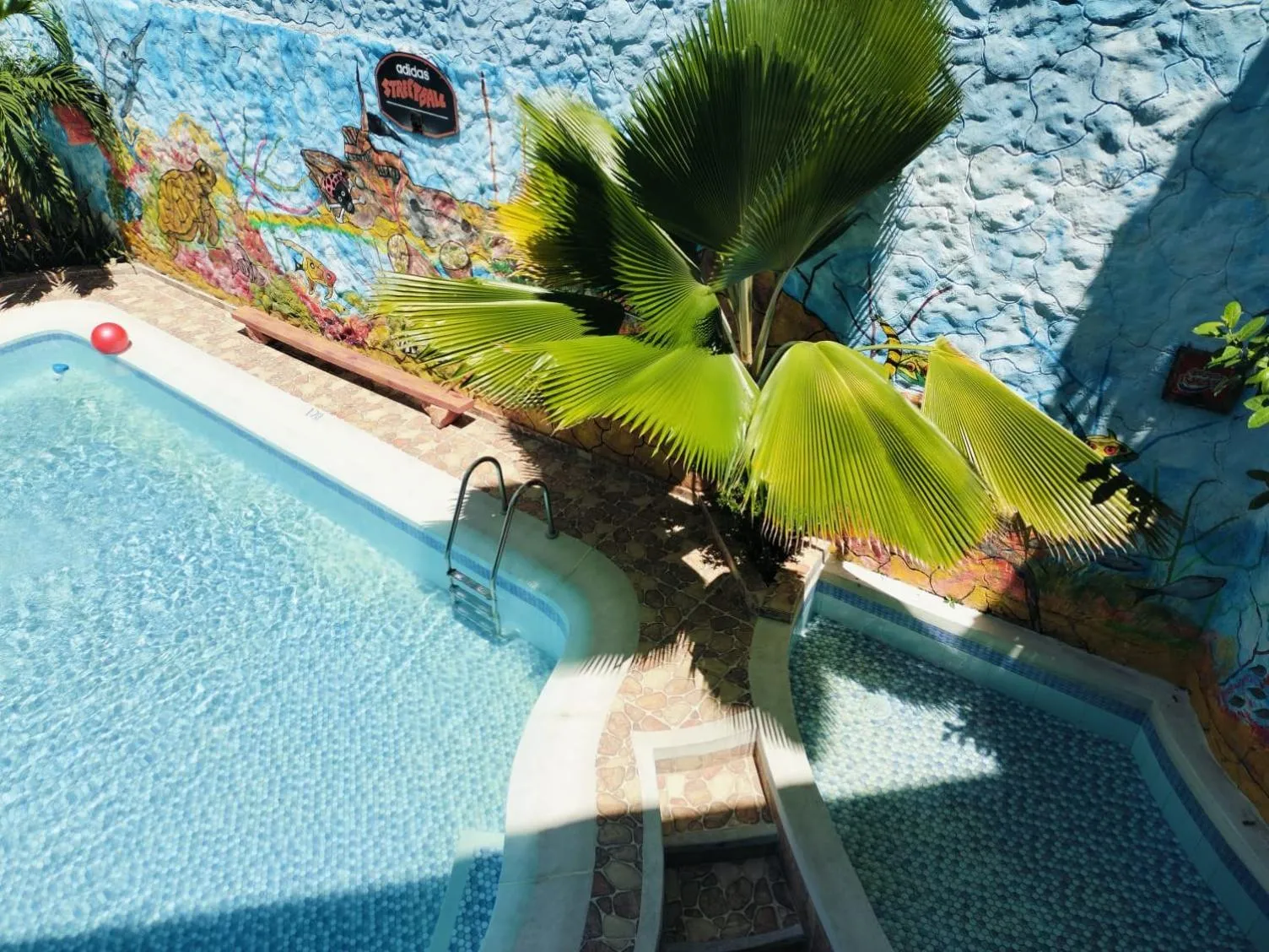 Swimming pool in Hotel Plaza Confort Inn
