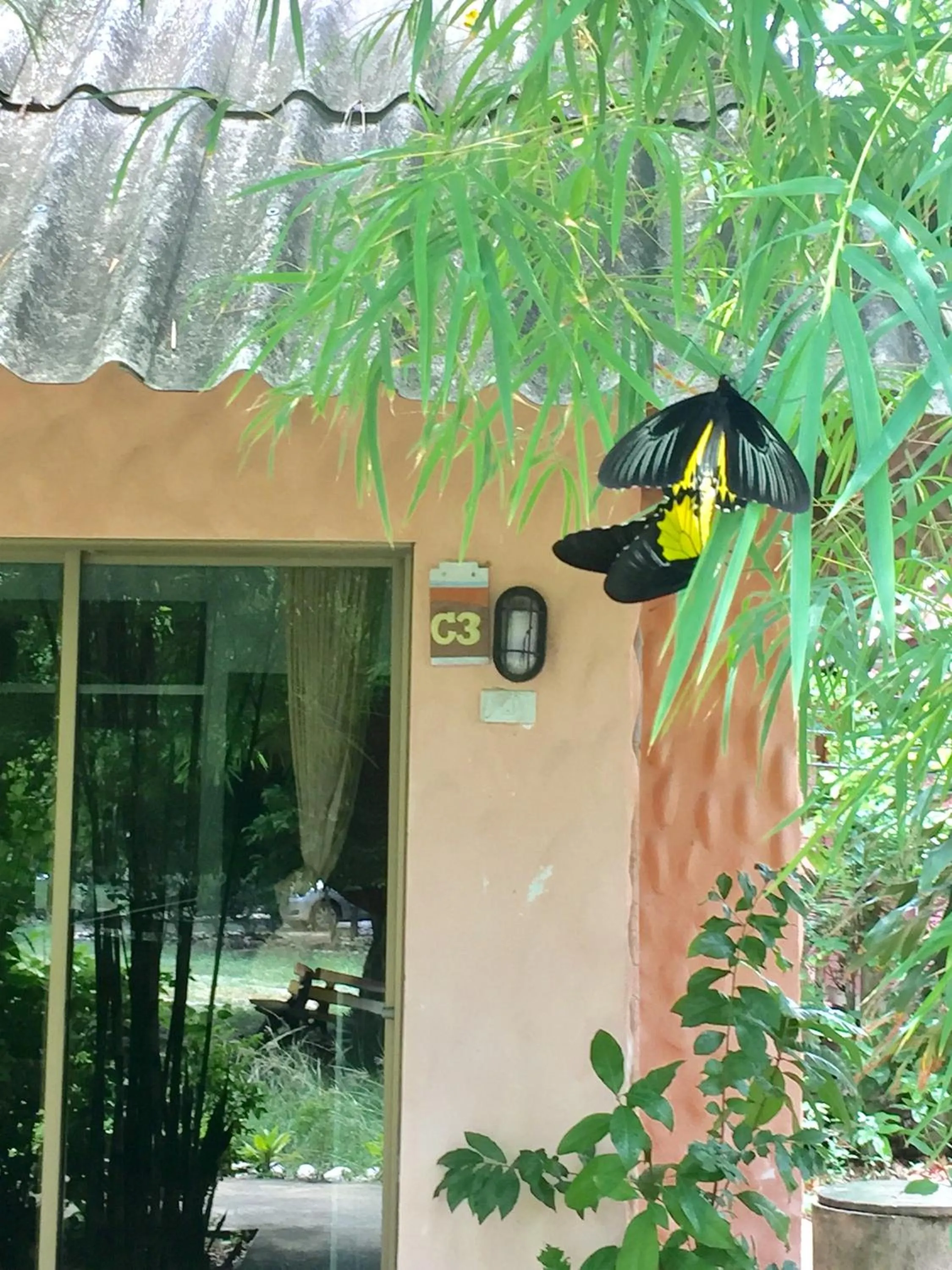 Property building in Lamai chalet