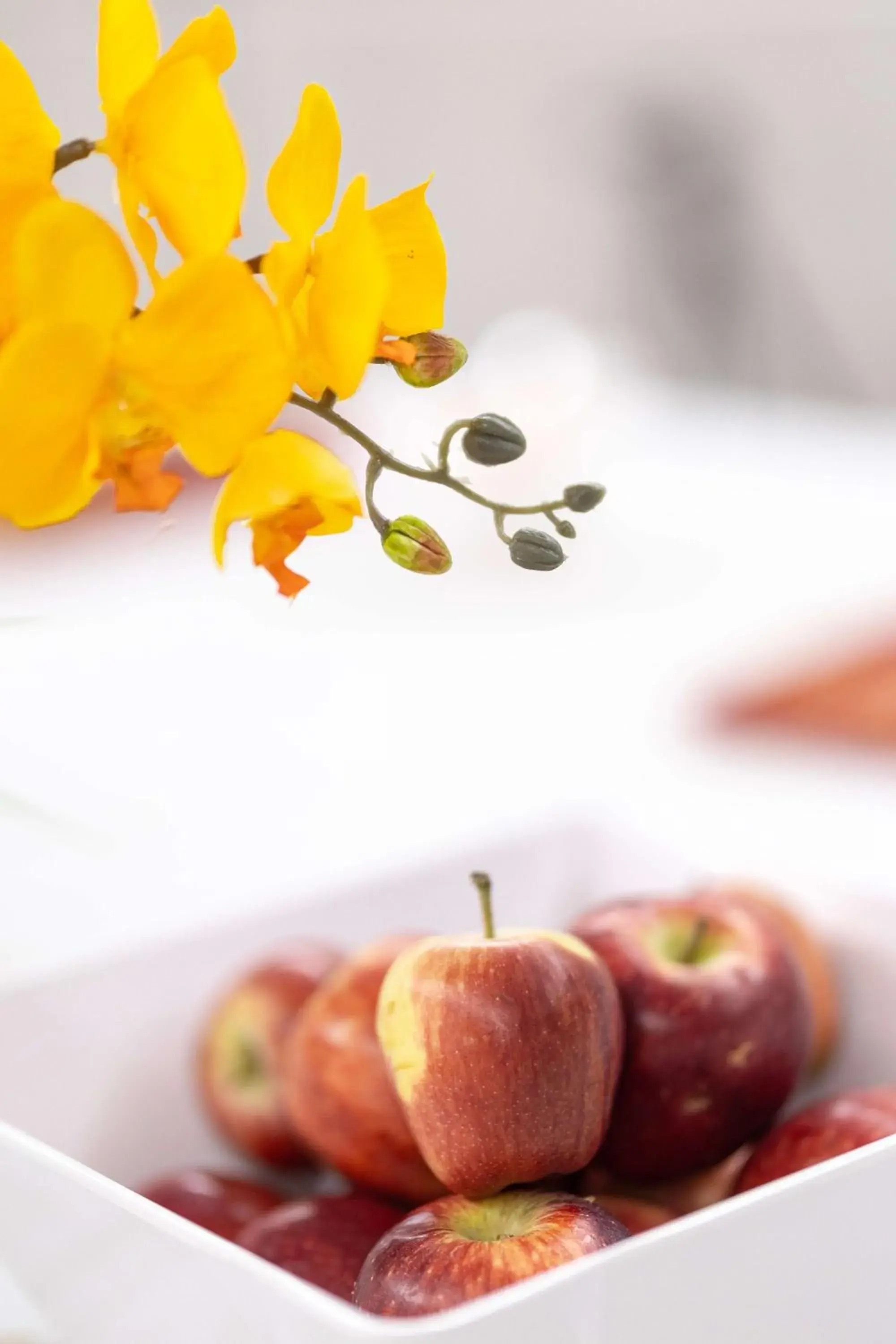 Breakfast in First Joy Hotel Breakfast in First Joy Hotel