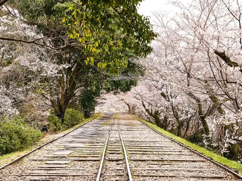 Nearby landmark in Fufu Kyoto