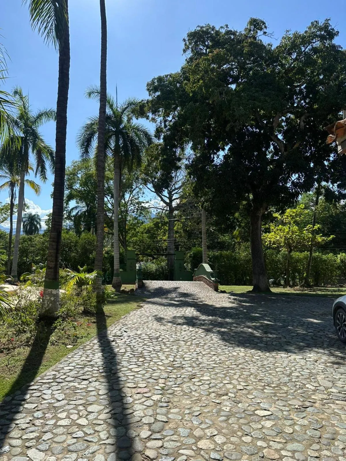 Lobby or reception in Finca Hotel Guadalupe