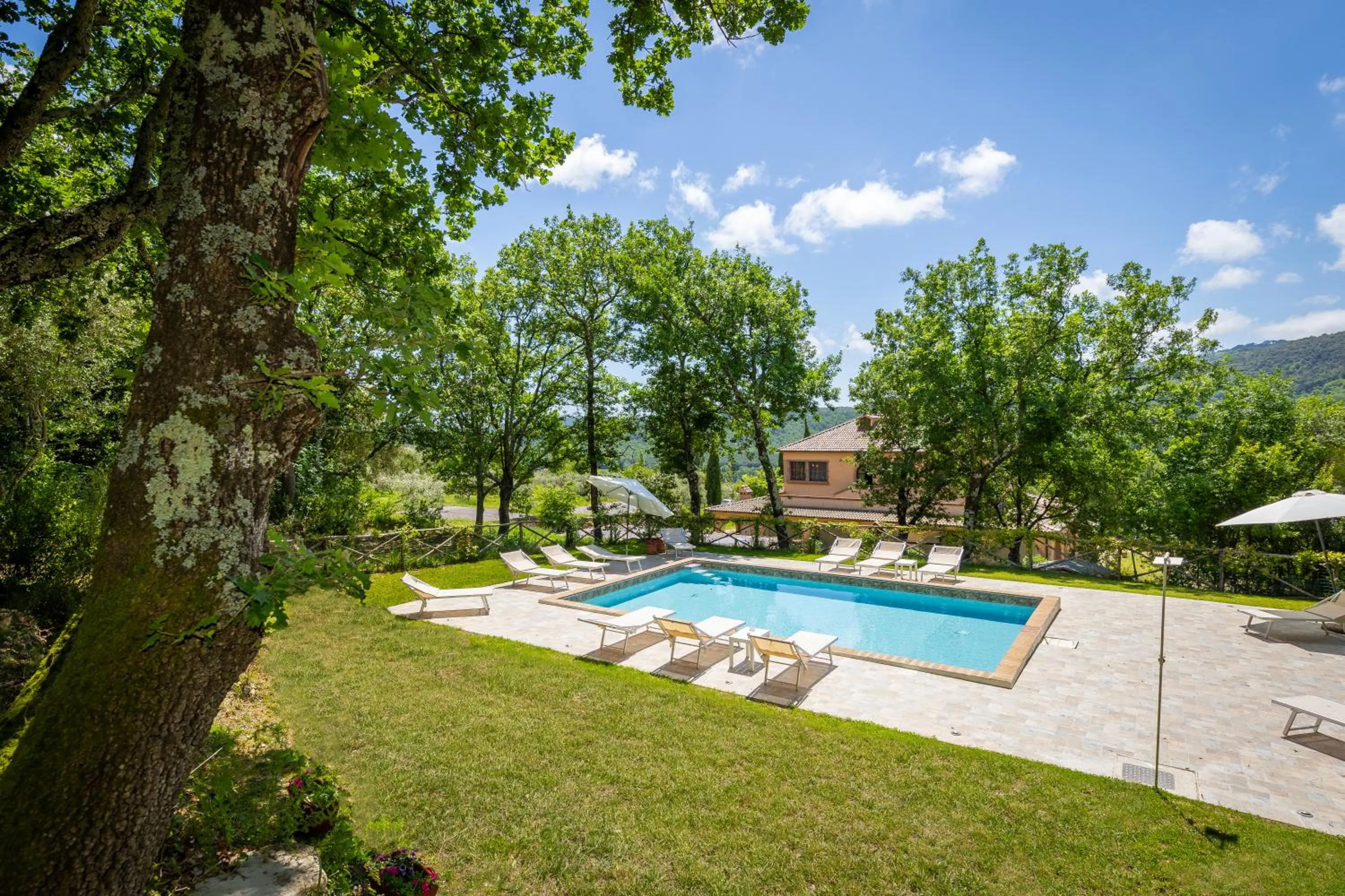 Swimming pool in Villa Cresci con piscina Tuscan villa with pool near Sassetta thermal baths & Bolgheri Wine Route