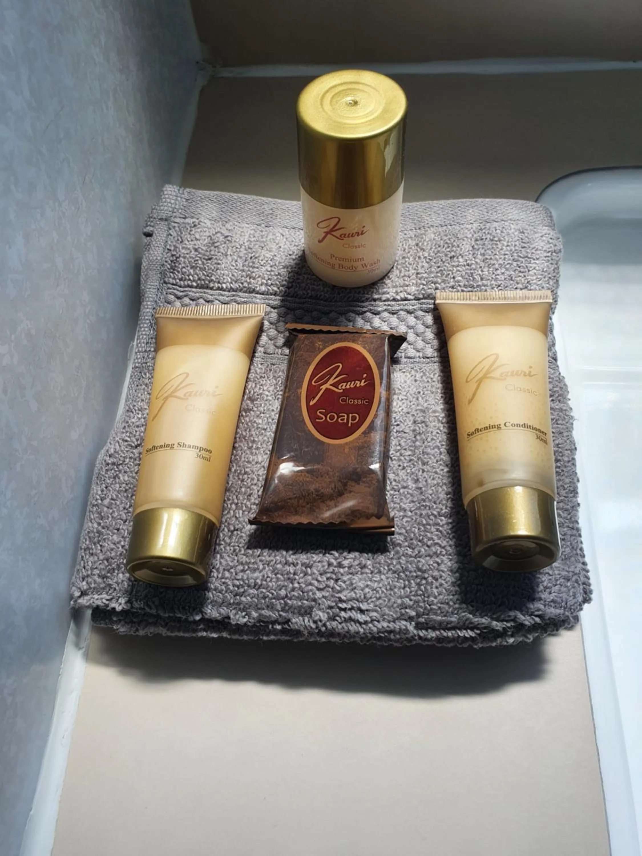 Shower in Brooklyne Motel Sanson