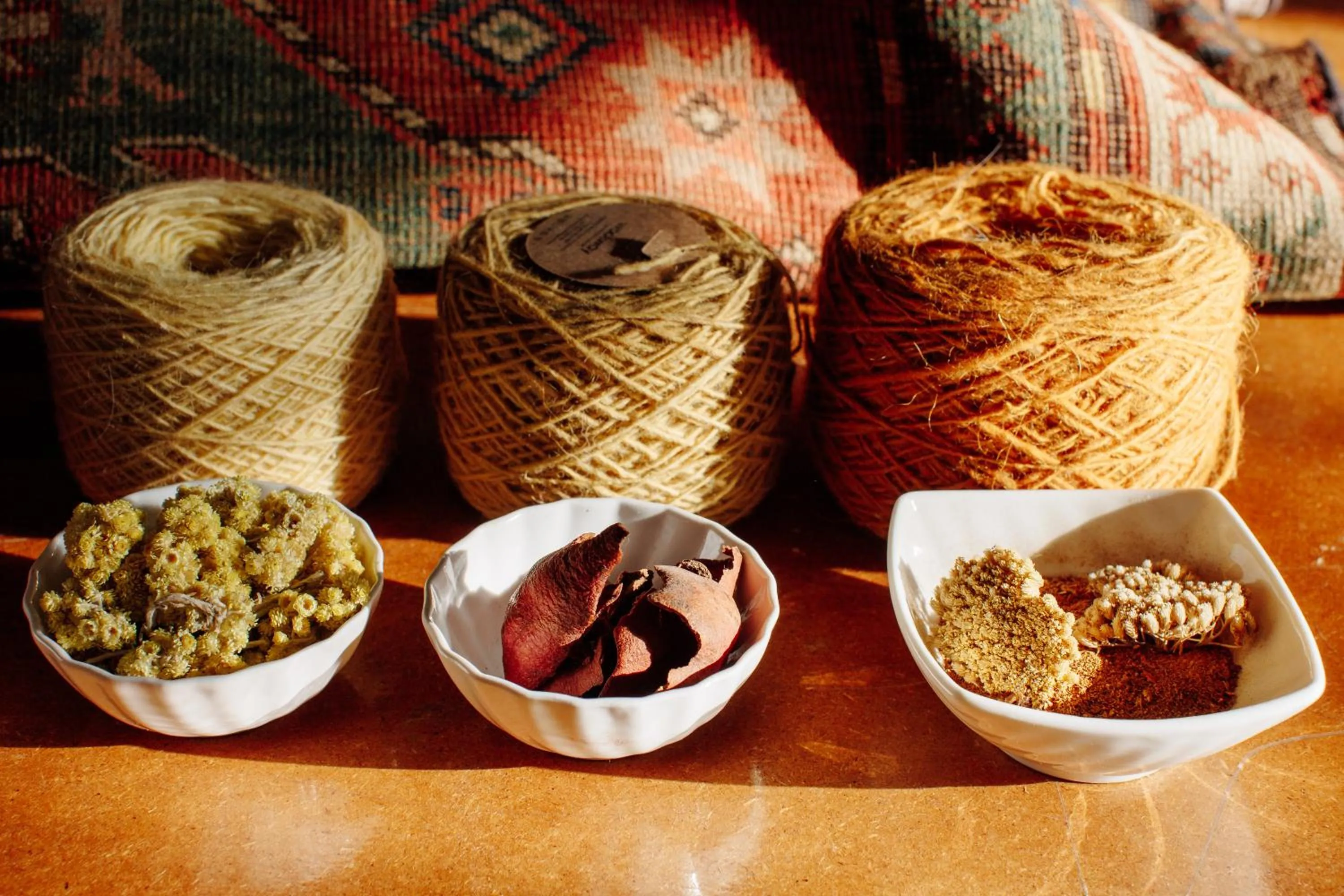 Activities in woolway studios