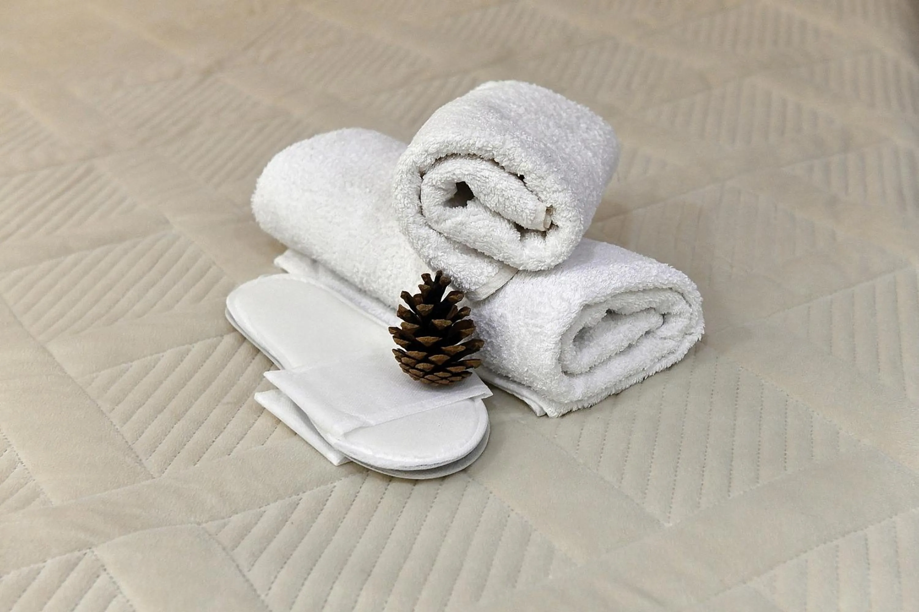 towels in woolway studios