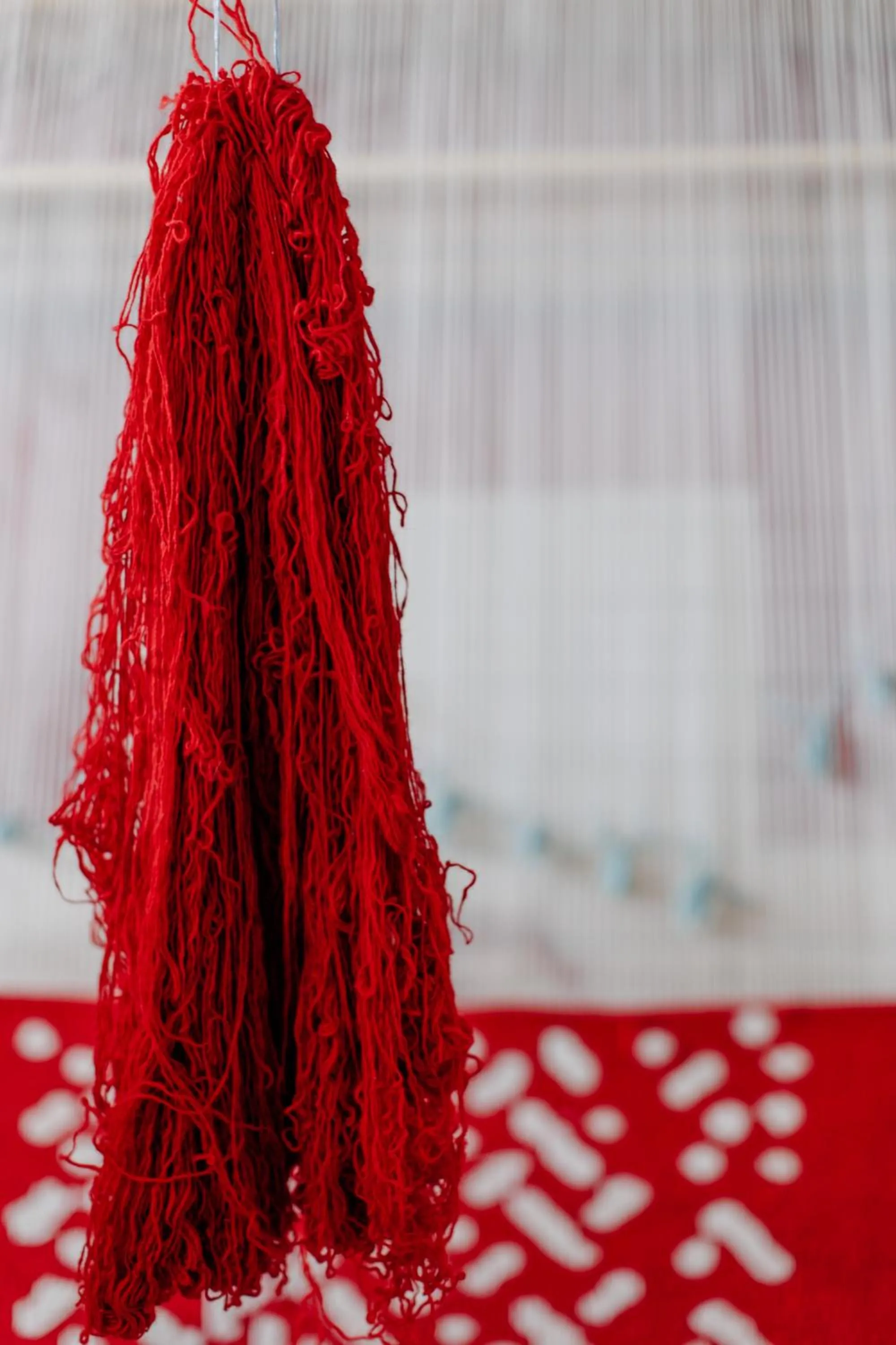 Activities in woolway studios