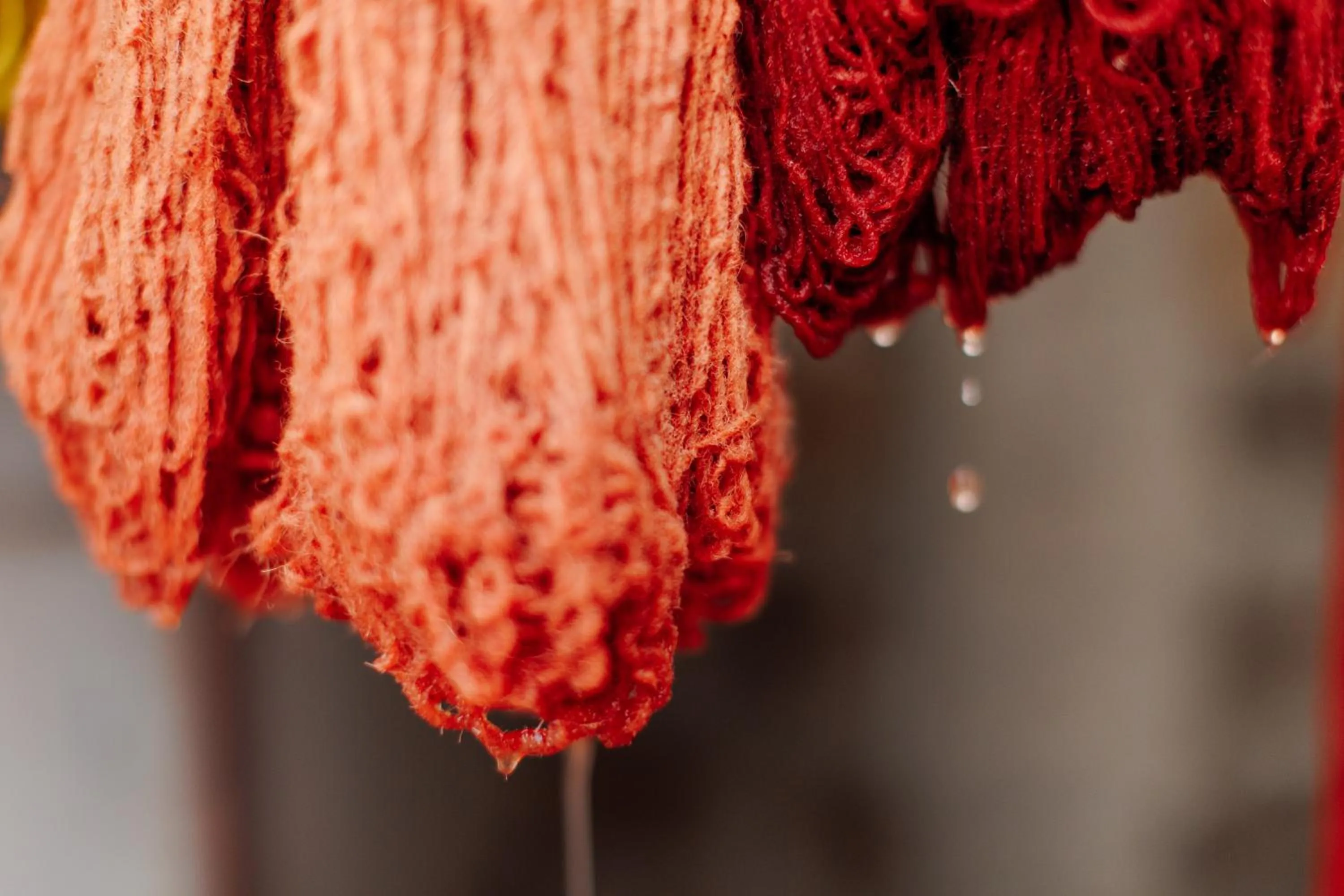 Activities in woolway studios