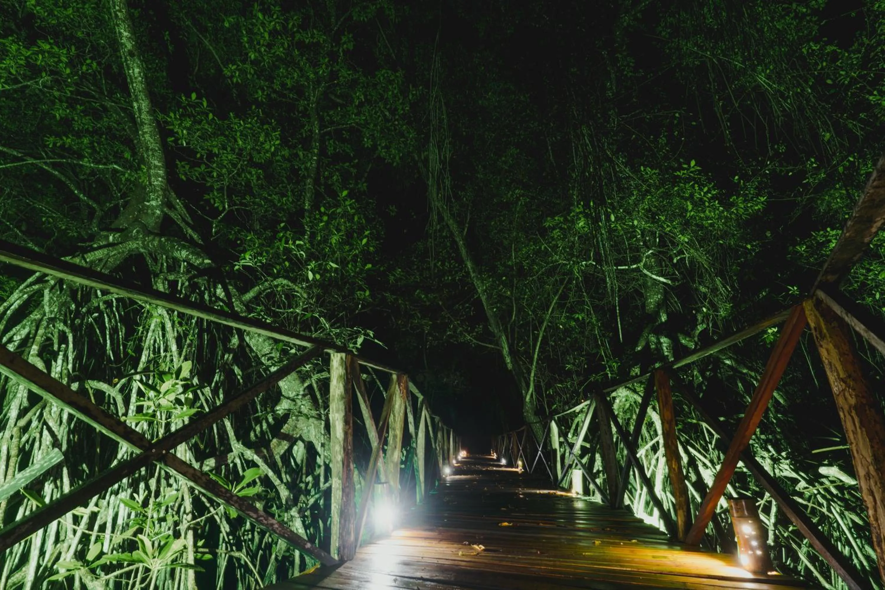Hiking in UUTTAAKA Eco-Hotel