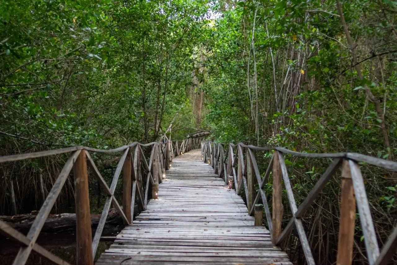 Hiking in UUTTAAKA Eco-Hotel