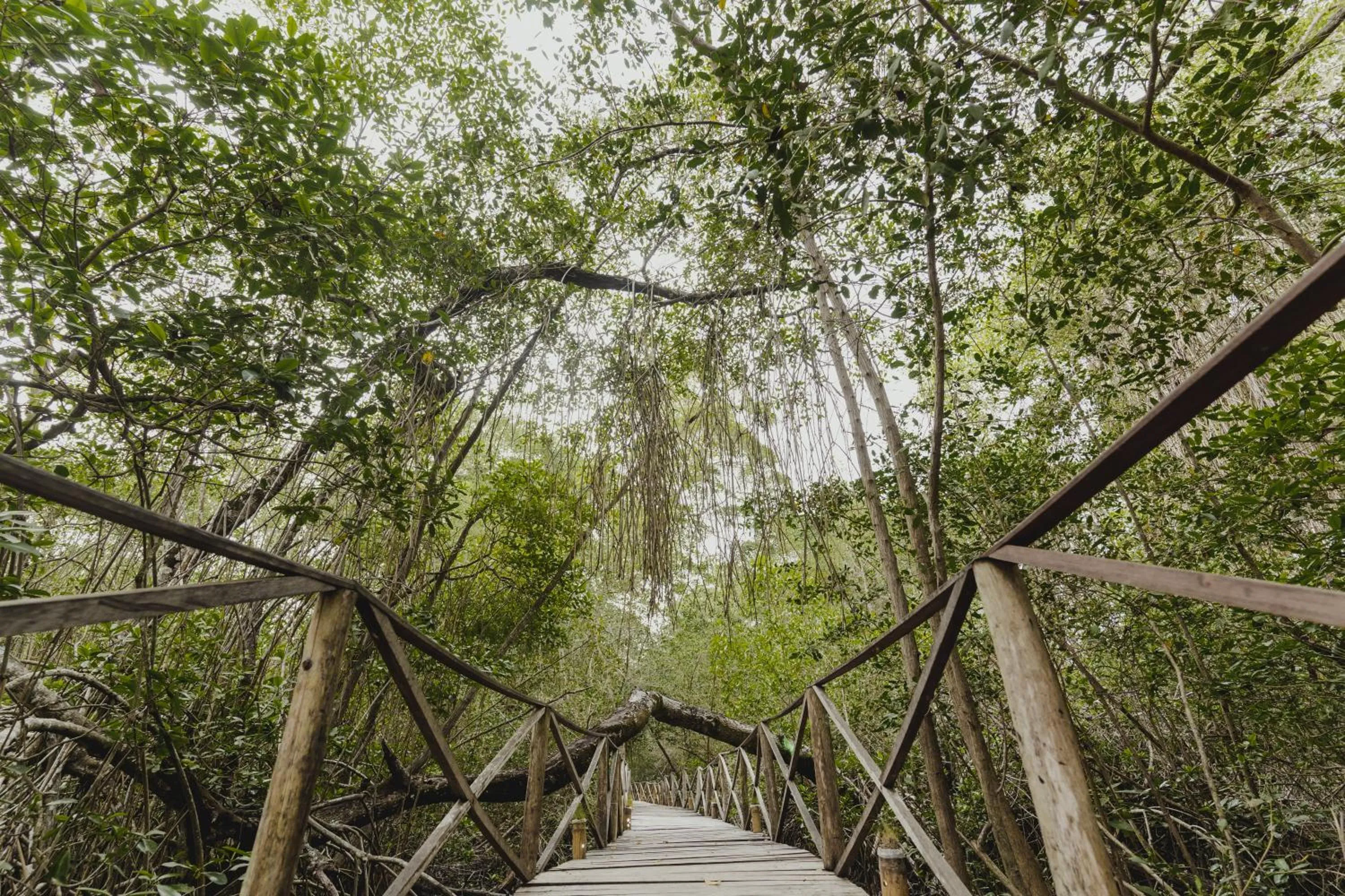 Natural landscape in UUTTAAKA Eco-Hotel