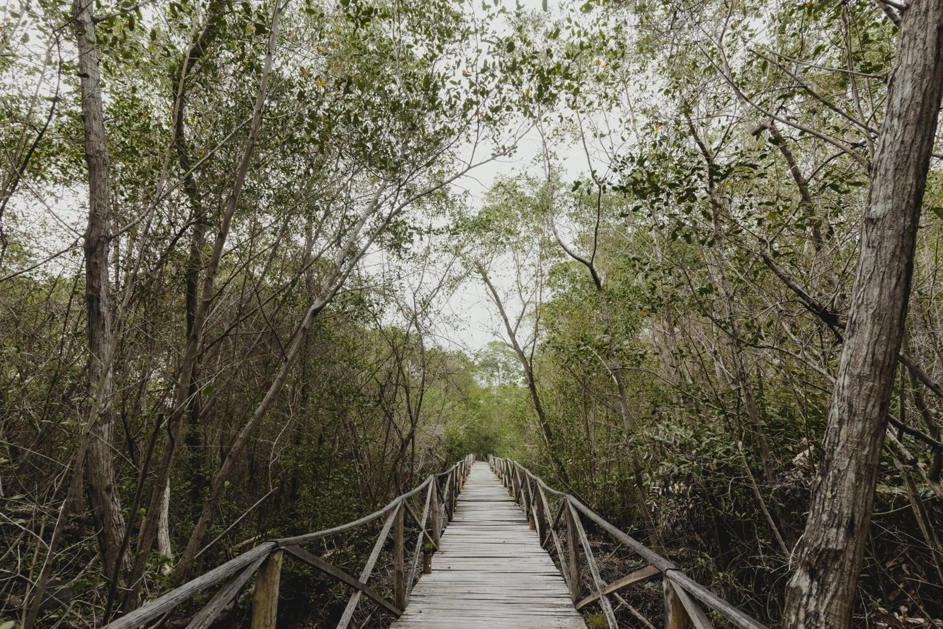 Hiking in UUTTAAKA Eco-Hotel