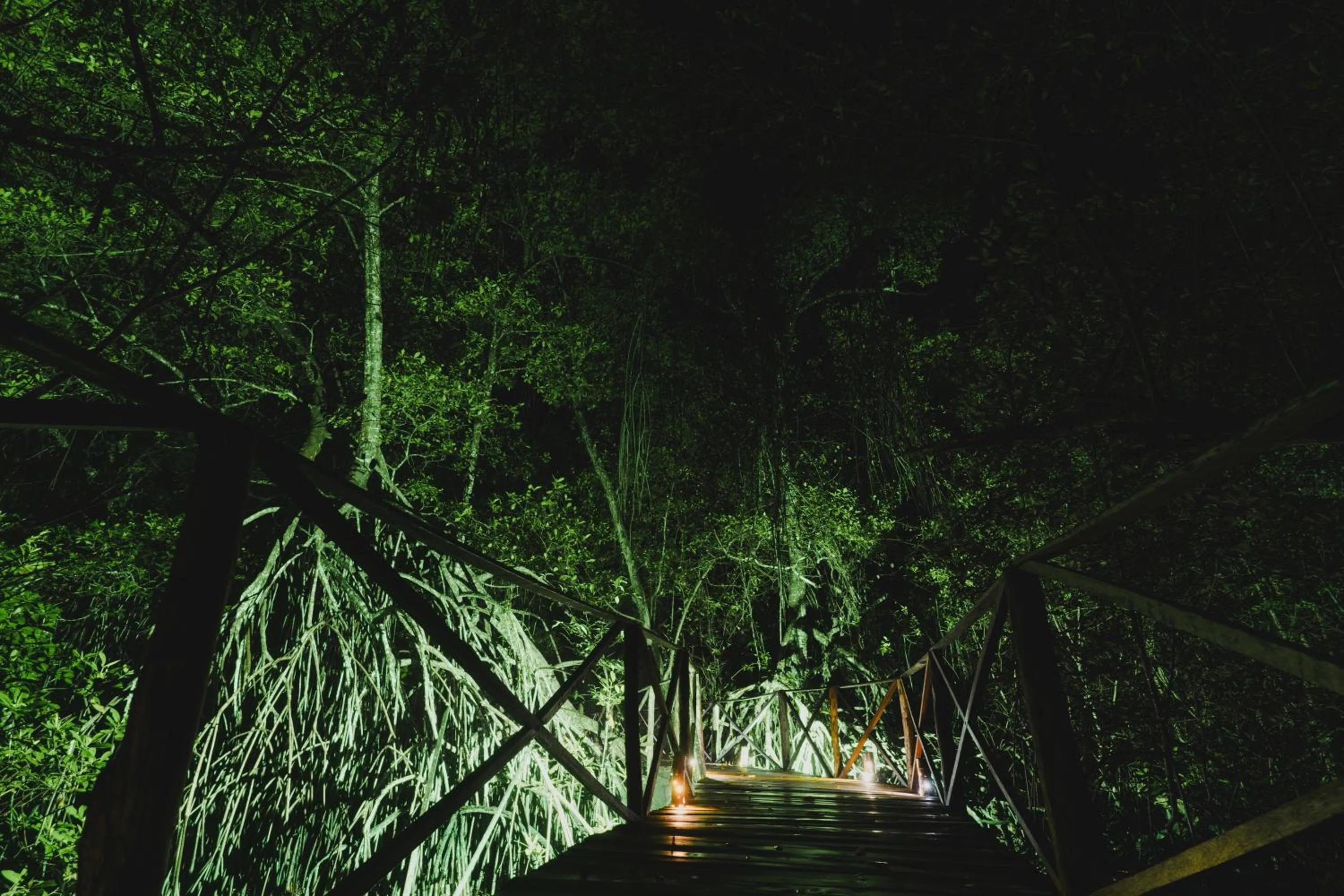 Night in UUTTAAKA Eco-Hotel