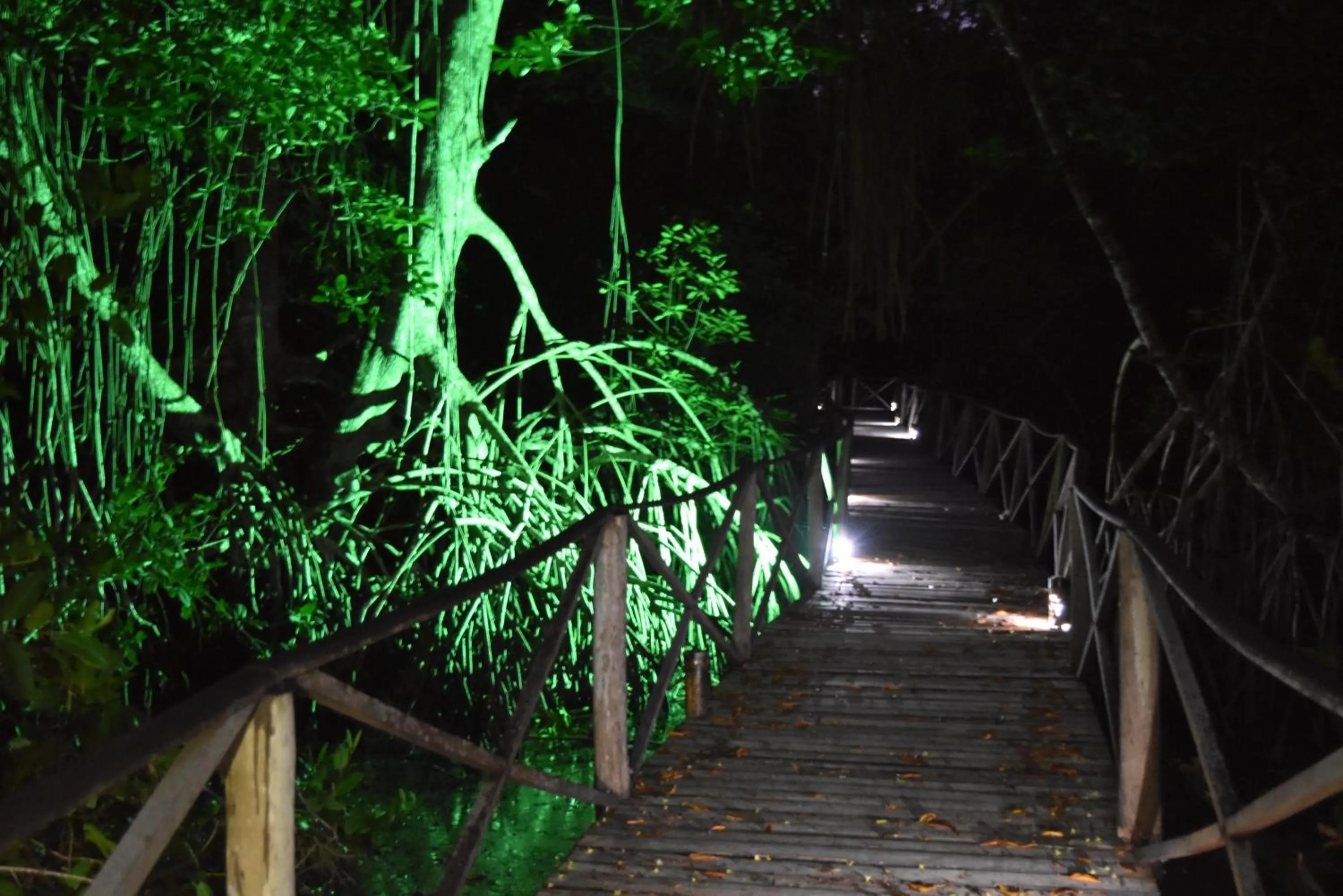 Night in UUTTAAKA Eco-Hotel