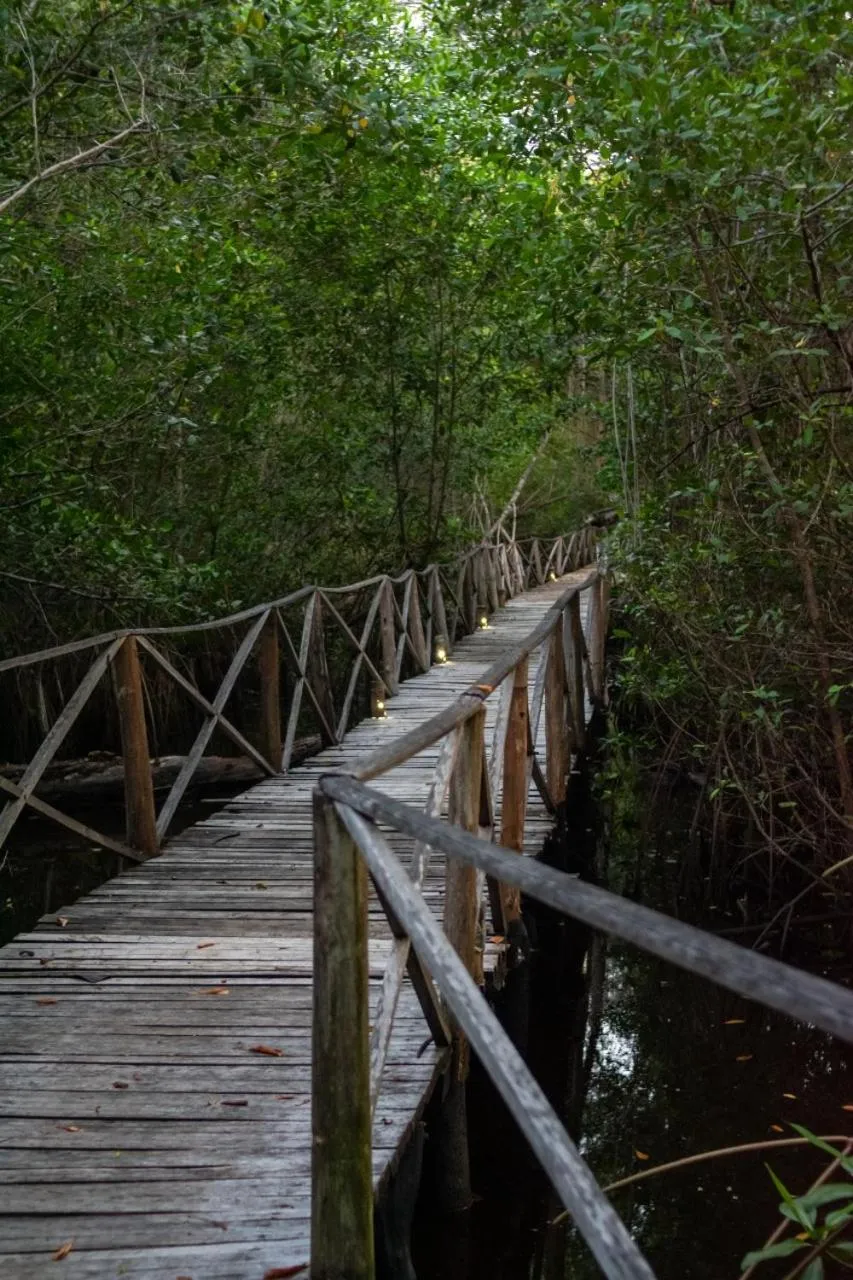 Hiking in UUTTAAKA Eco-Hotel