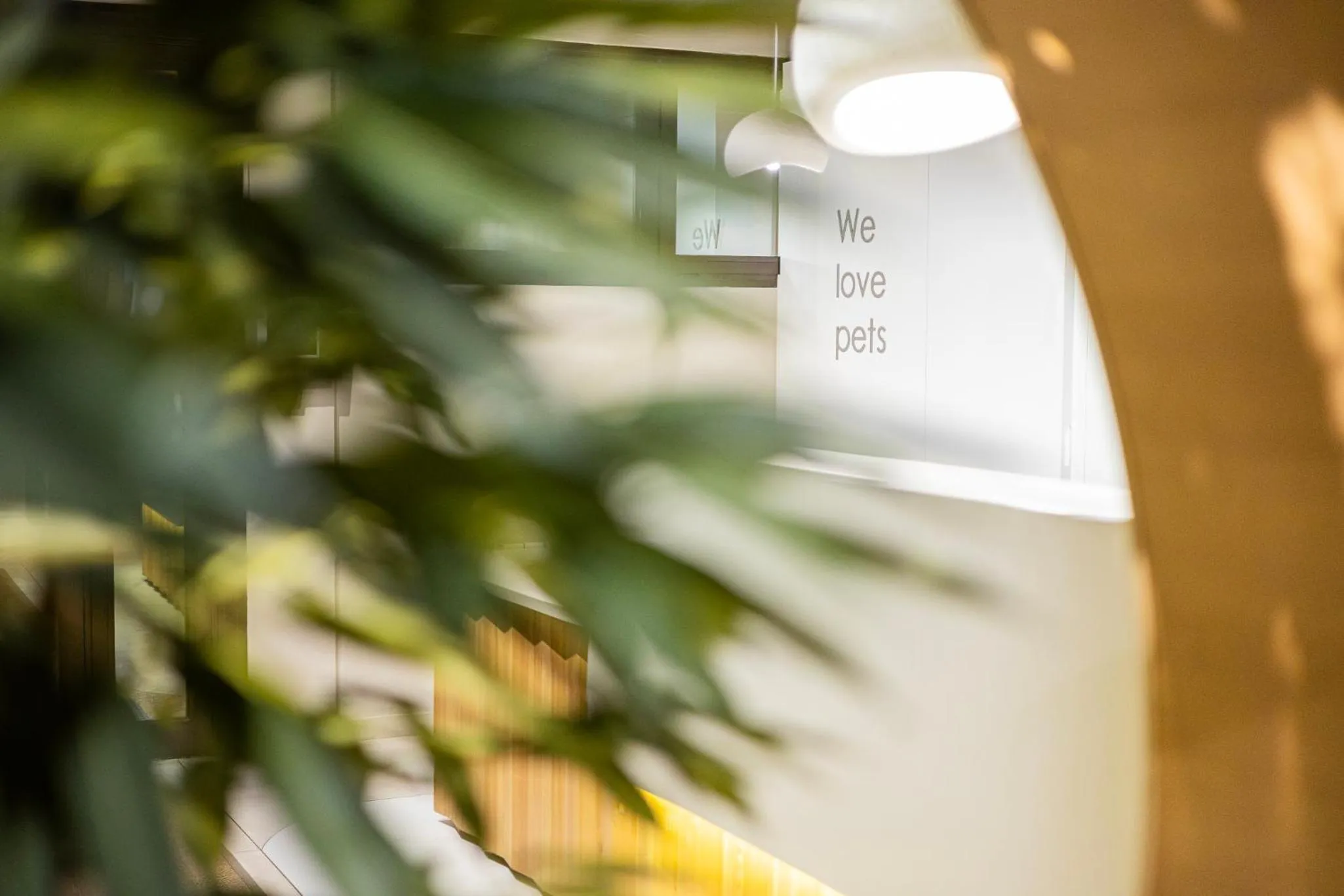 Animals in Aparthotel Nou Vielha