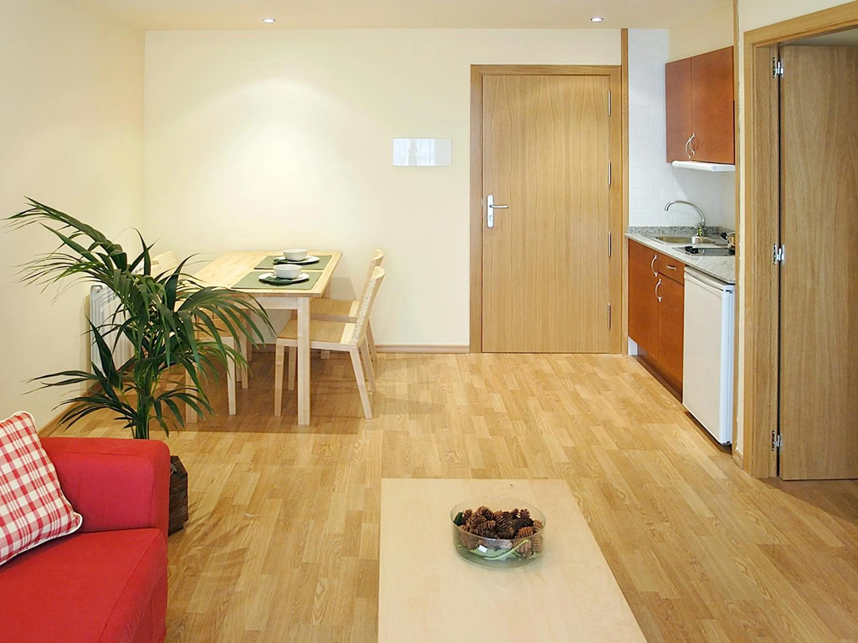 Kitchen or kitchenette in Aparthotel Nou Vielha