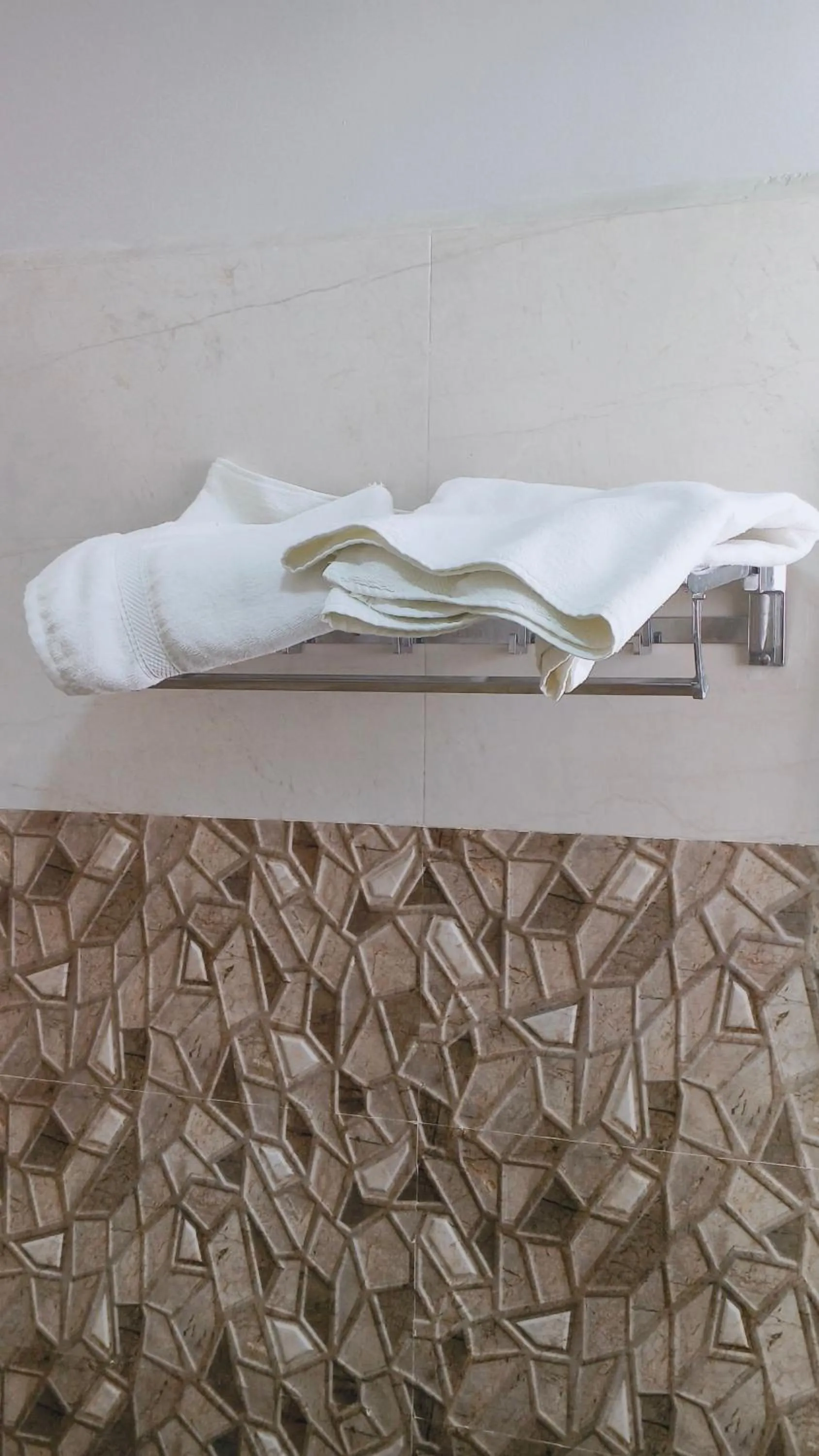 towels in HOTEL AMAR PALACE BHARATPUR