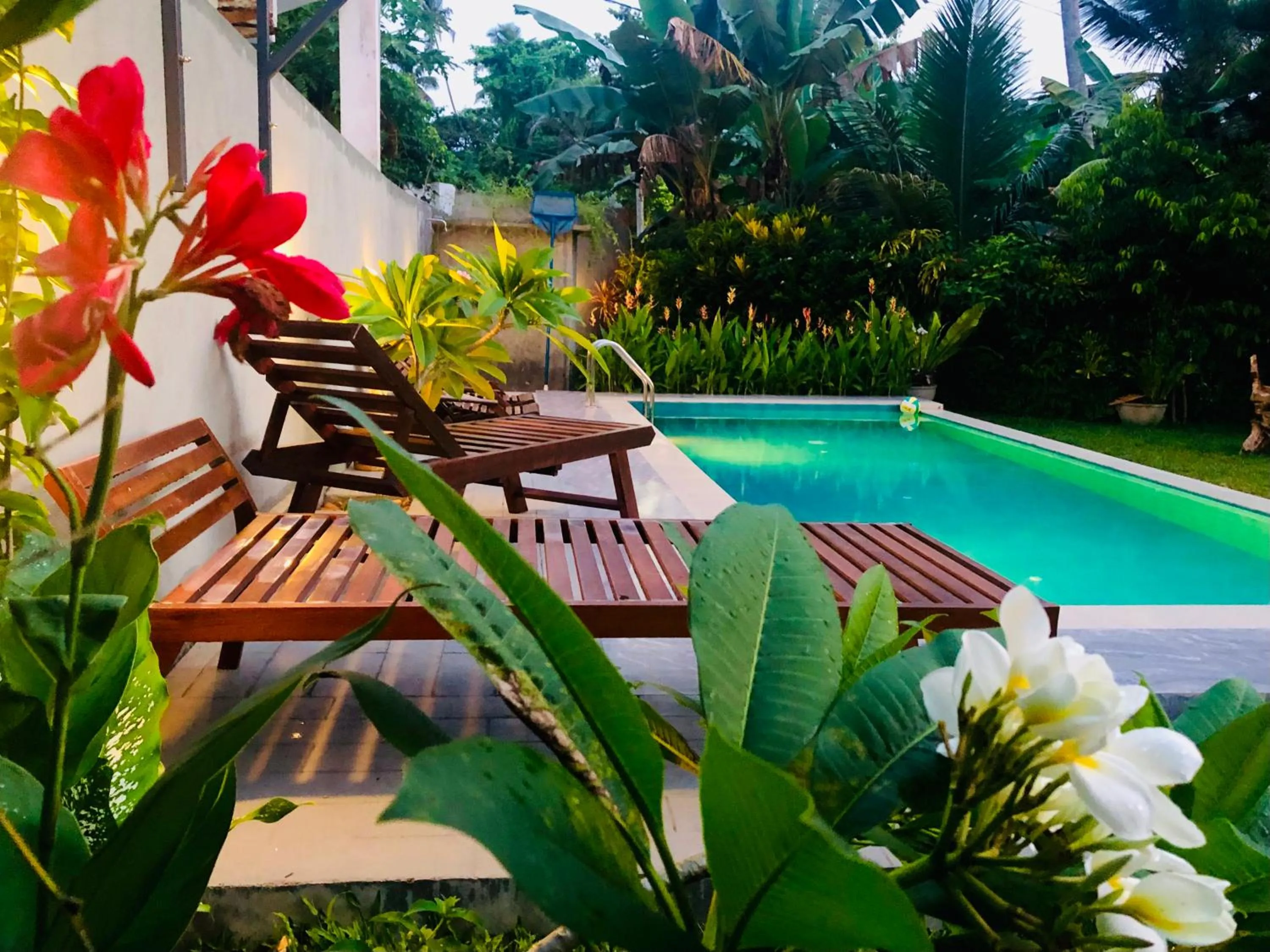 Swimming pool in Shanthi Boutique Villa