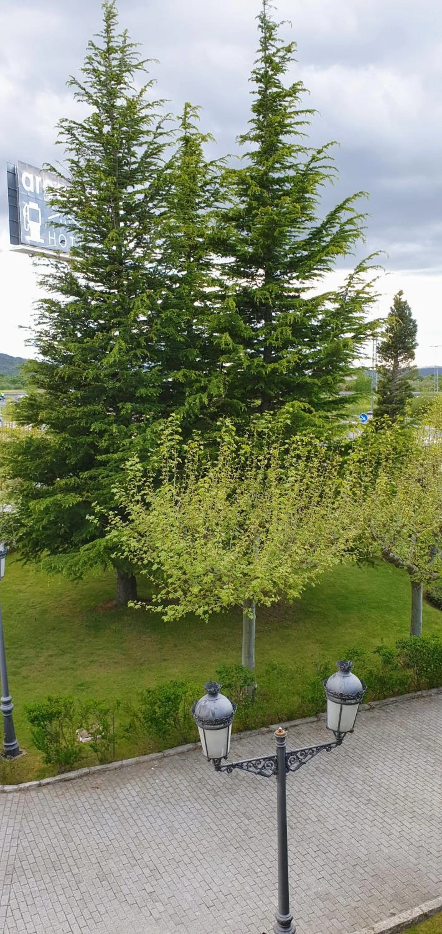 View (from property/room) in Mirasierra