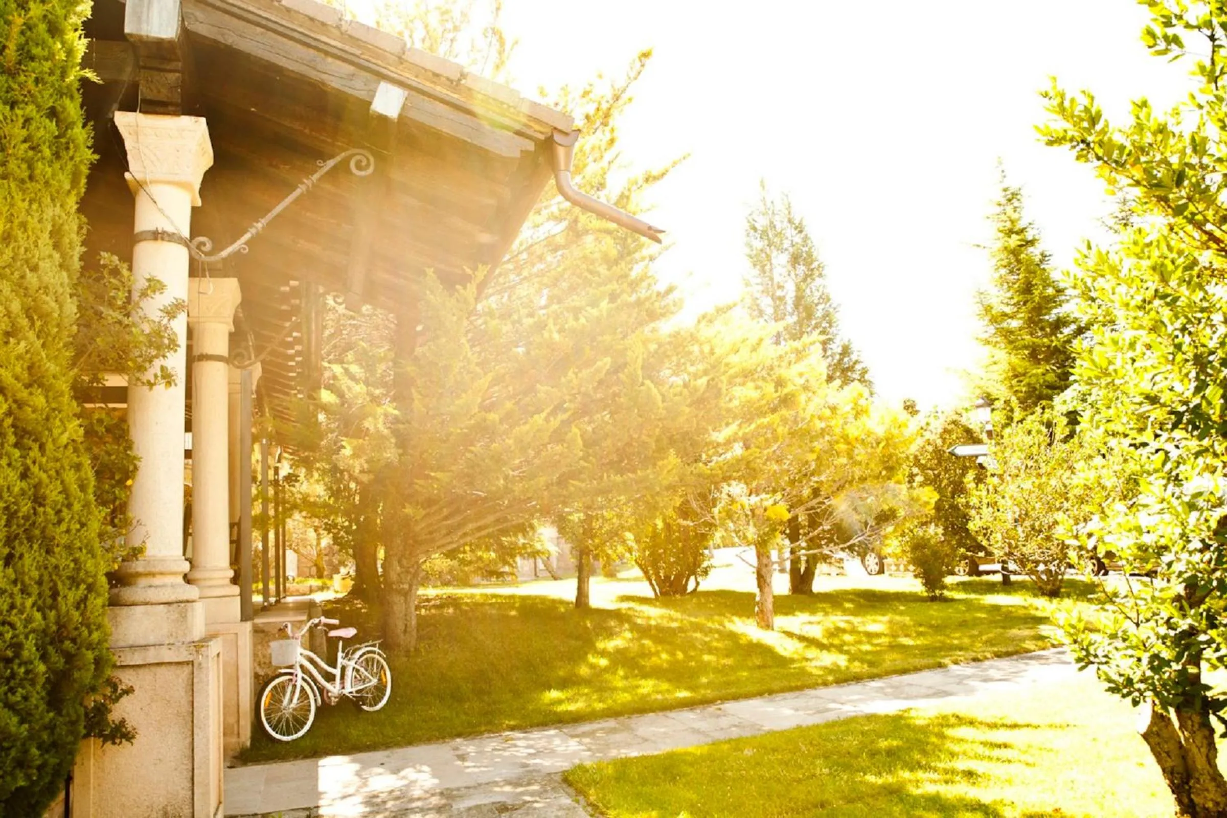 Garden in Mirasierra