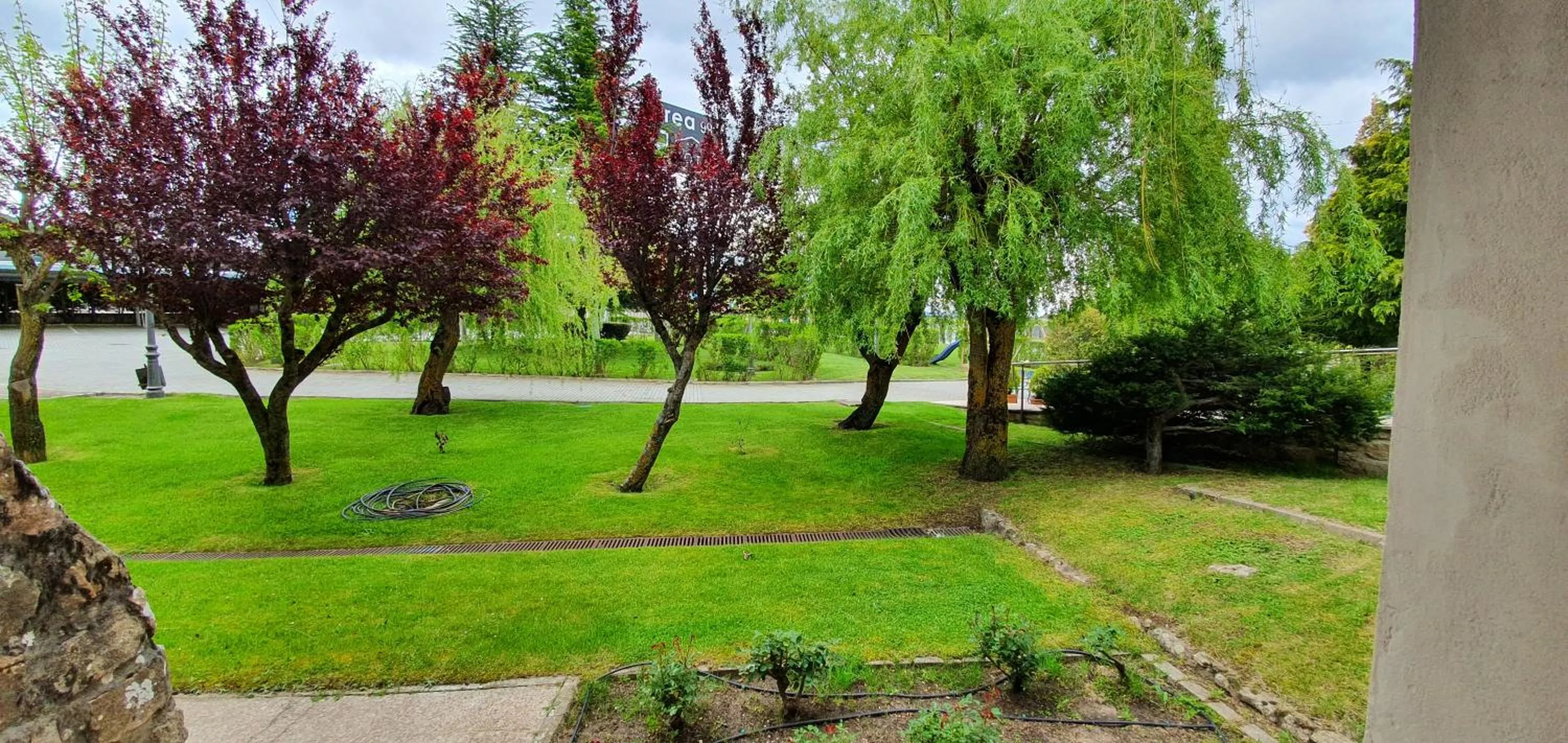 Garden view in Mirasierra