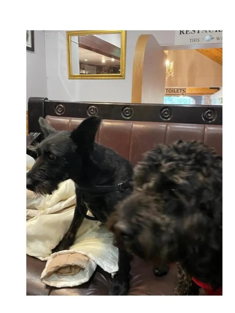 The Castledawson Inn