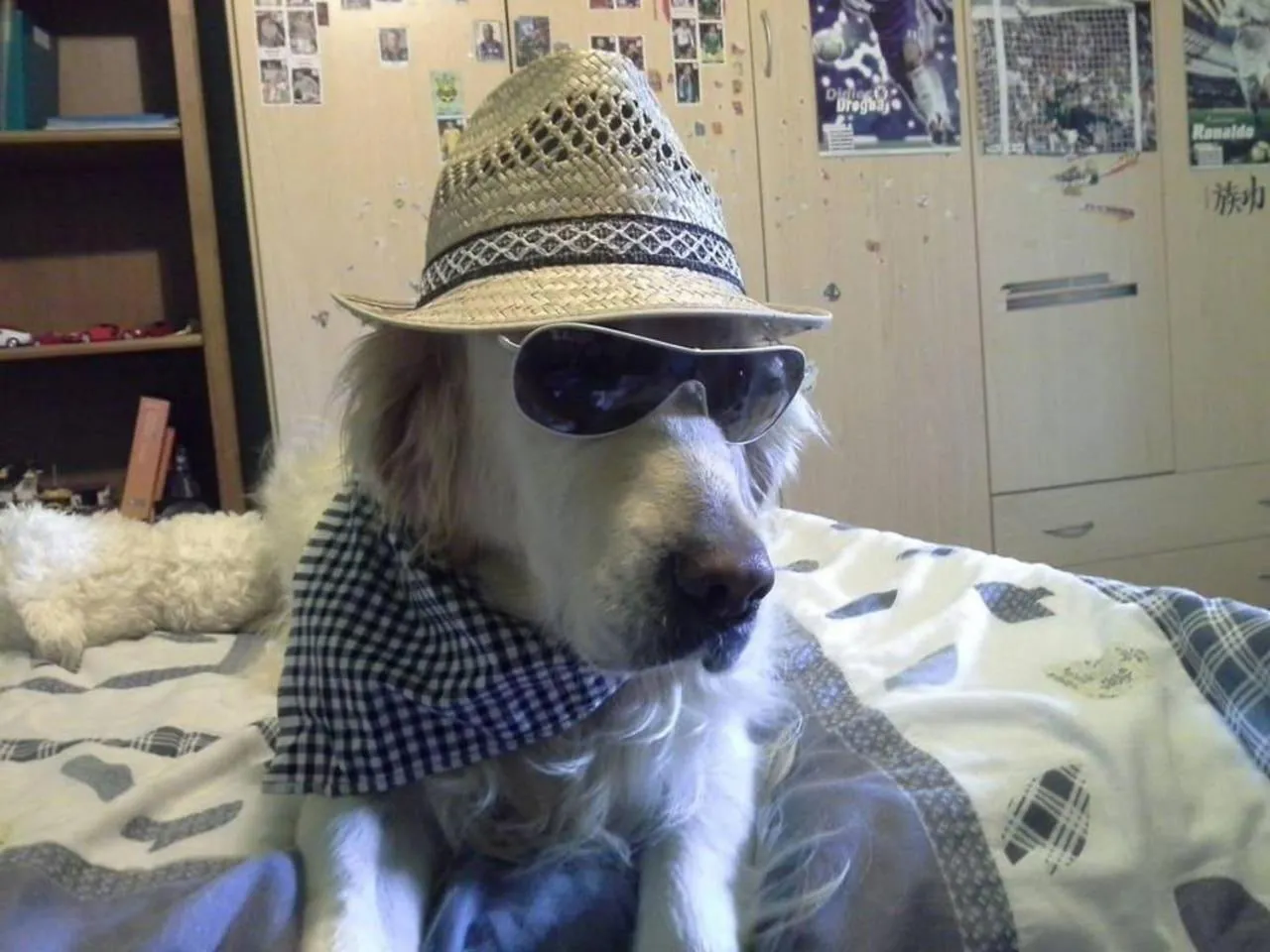 Beautiful Lux apartment chianti firenze area Italy