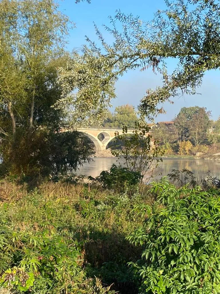 CÔTE GARONNE le BALCON DES DAMES -hôtel et restaurant- Tonneins Fauillet Marmande - vue panoramique bord de Garonne chambres climatisées