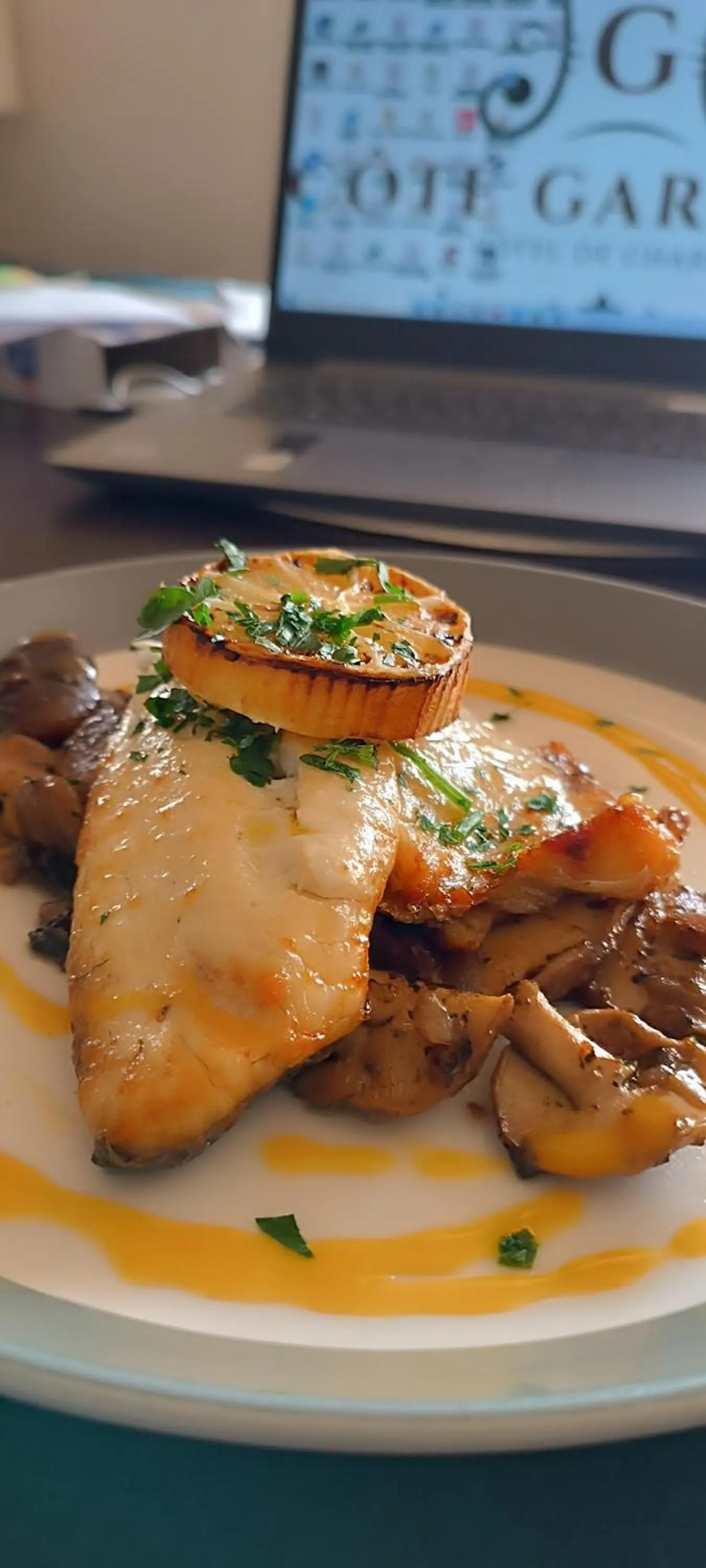 CÔTE GARONNE le BALCON DES DAMES -hôtel et restaurant- Tonneins Fauillet Marmande - vue panoramique bord de Garonne chambres climatisées