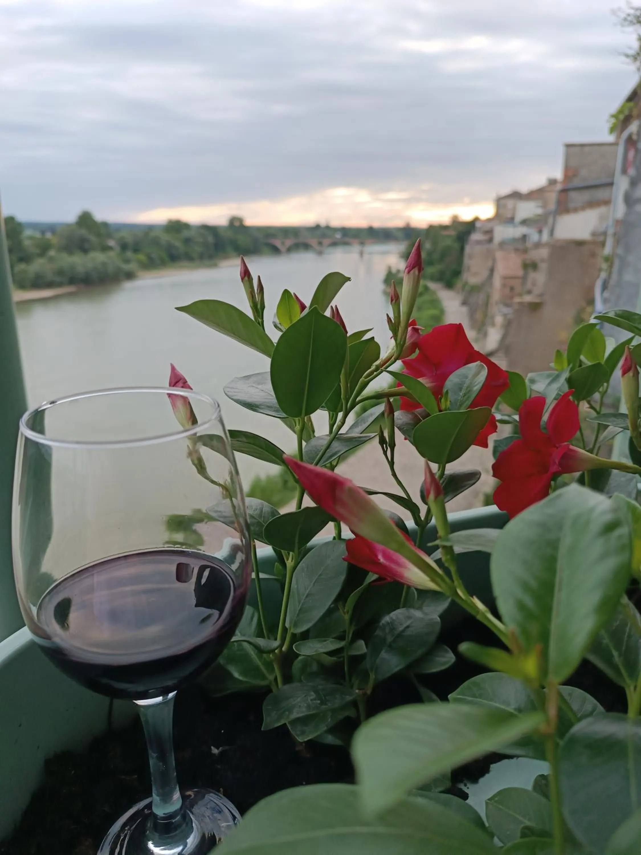 CÔTE GARONNE le BALCON DES DAMES -hôtel et restaurant- Tonneins Fauillet Marmande - vue panoramique bord de Garonne chambres climatisées