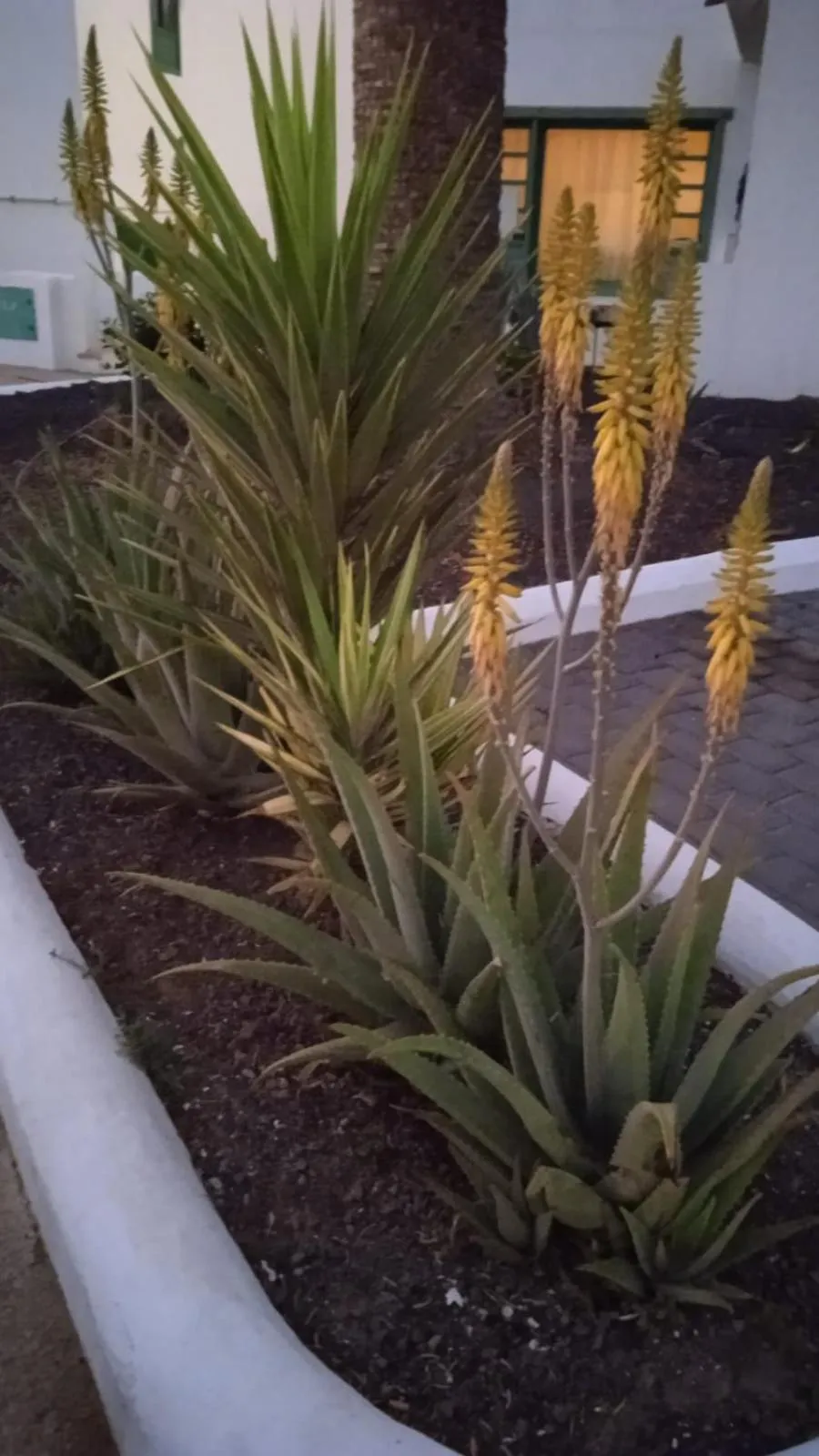 Property building in Blue View Hermoso Apartamento Remodelado Ubicación Ideal