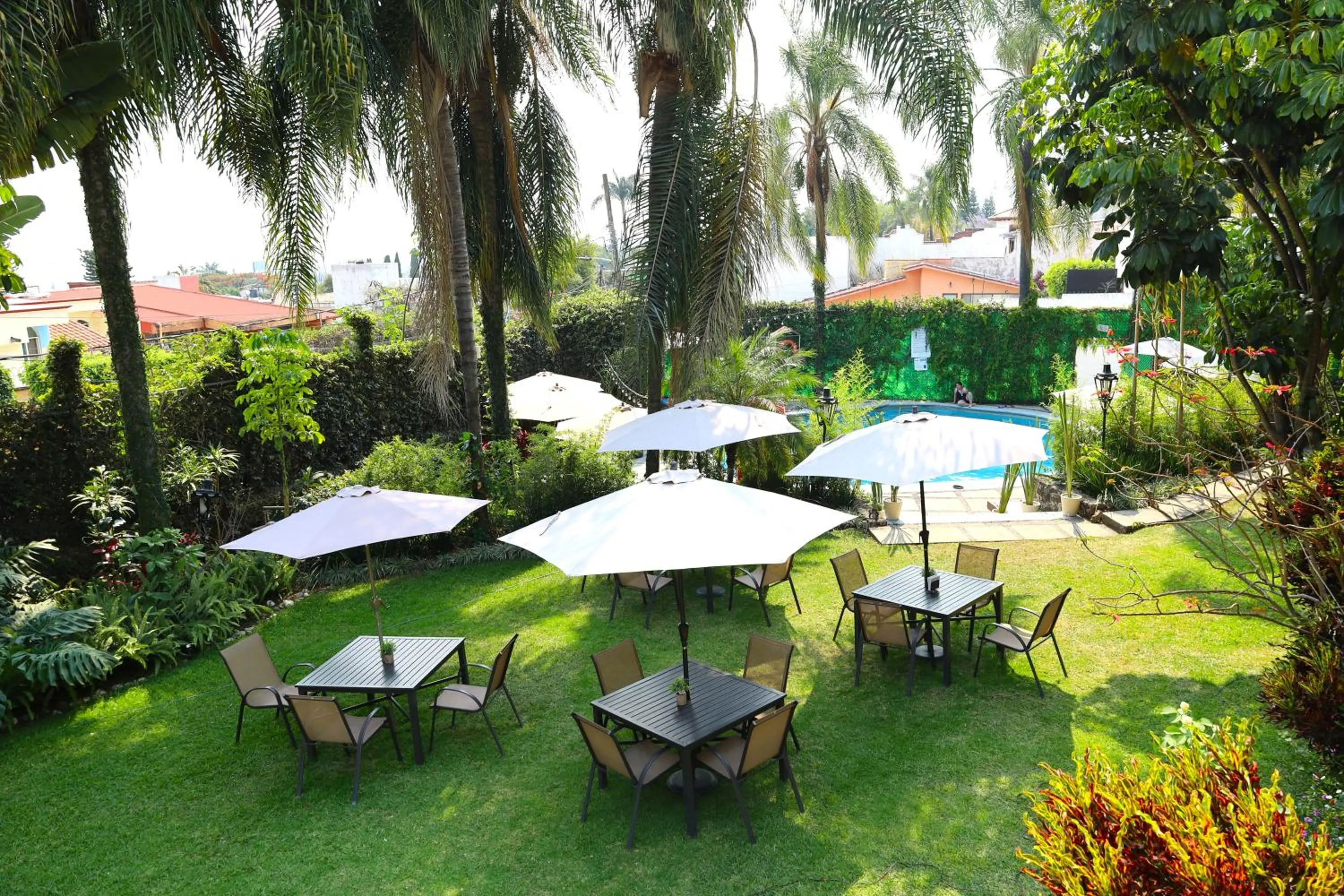Garden view in Hotel Grand Vista Cuernavaca