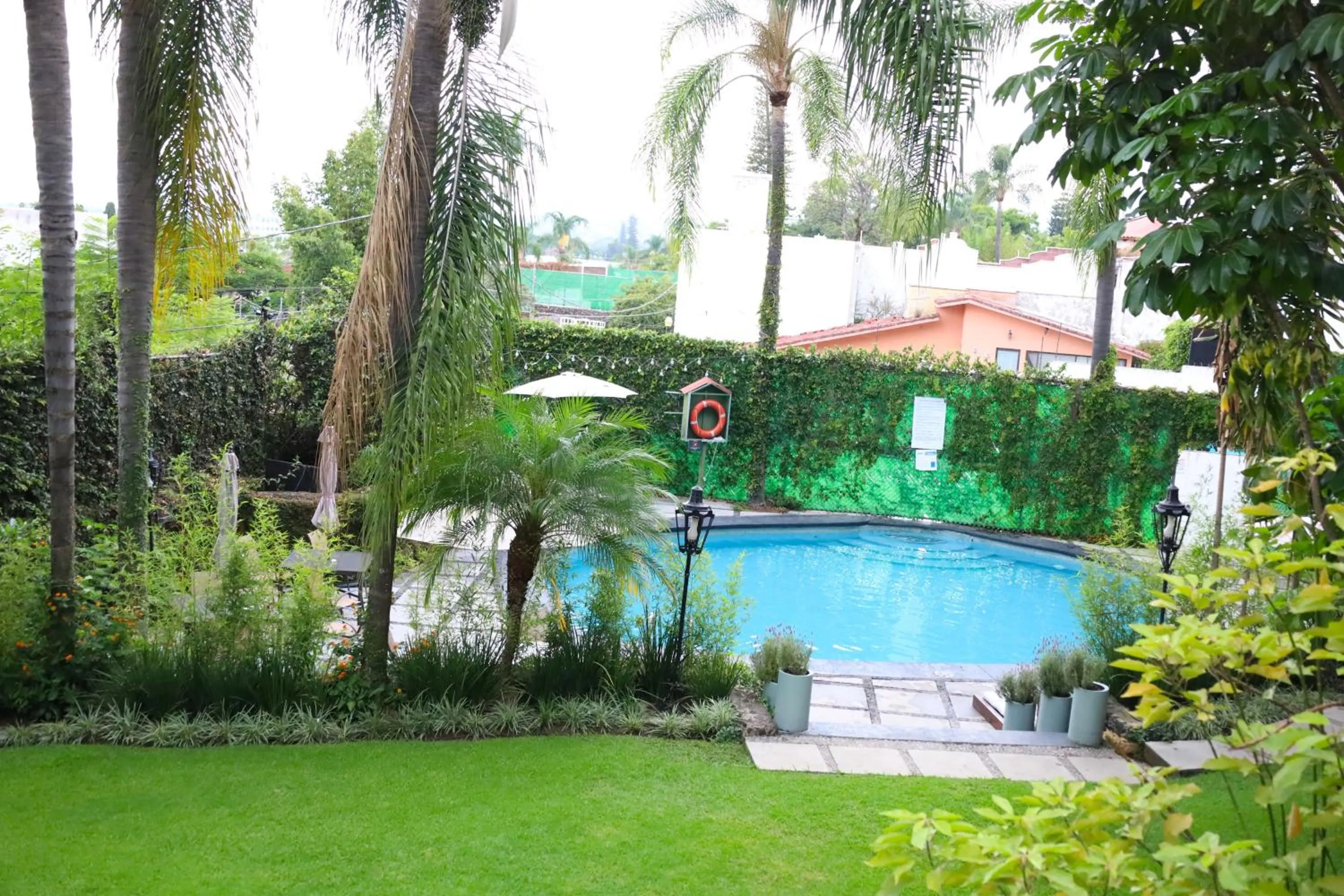 Pool view in Hotel Grand Vista Cuernavaca