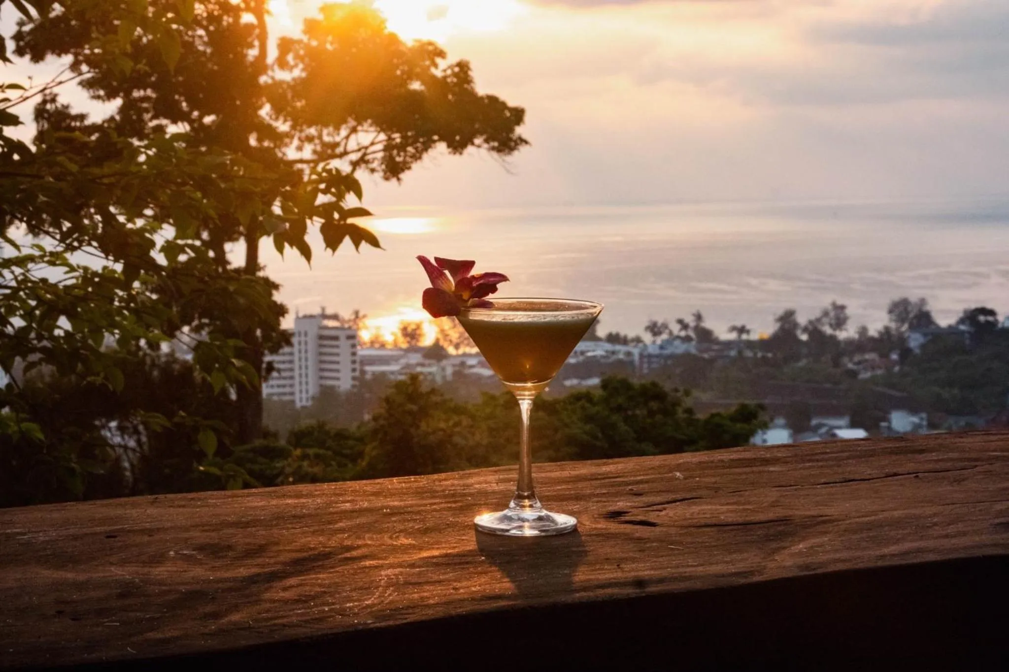 Lounge or bar in Phuket Jungle Experience Resort