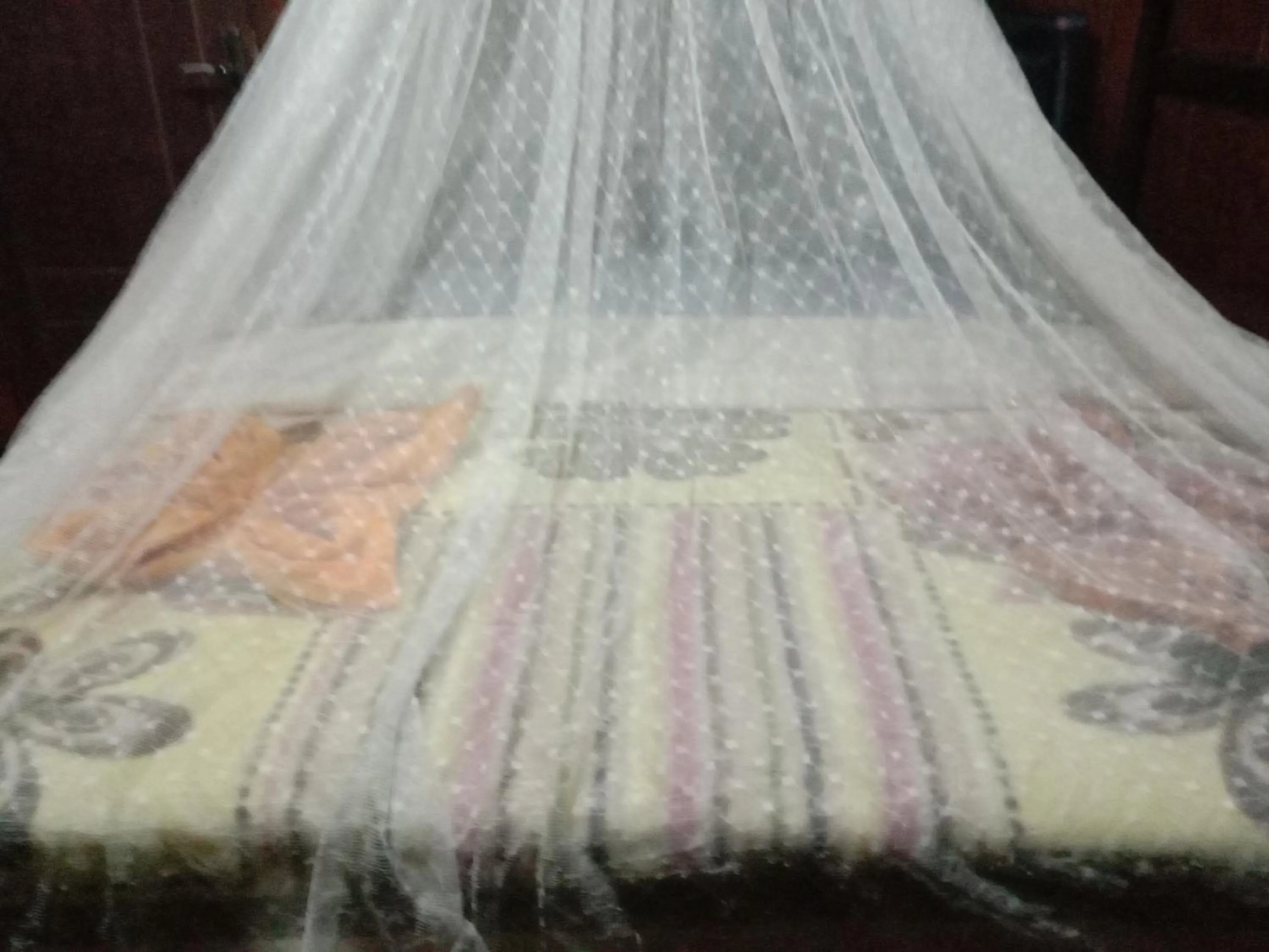 Home stay wolokoro ecotourism