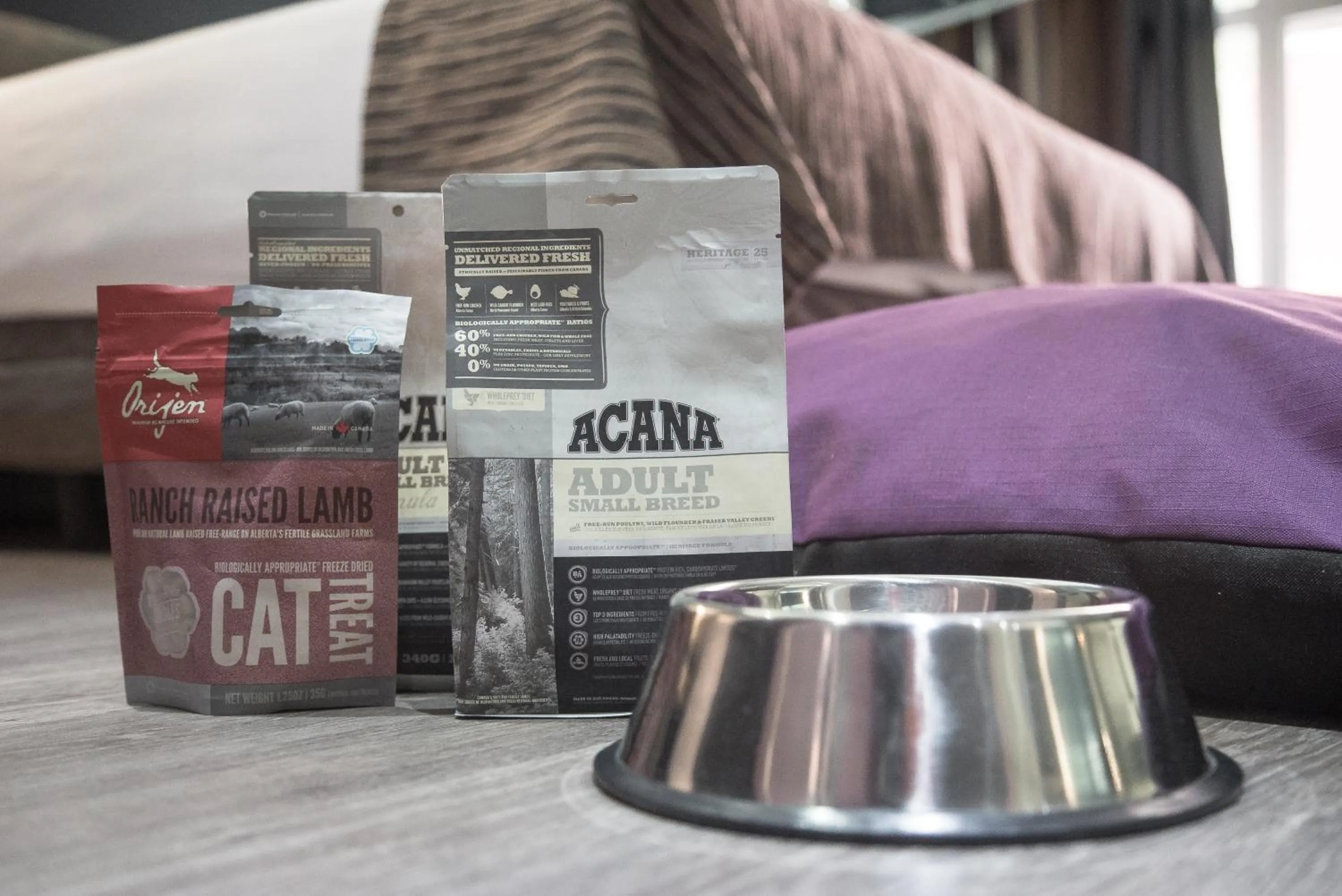 Animals in Petit Palace Plaza España