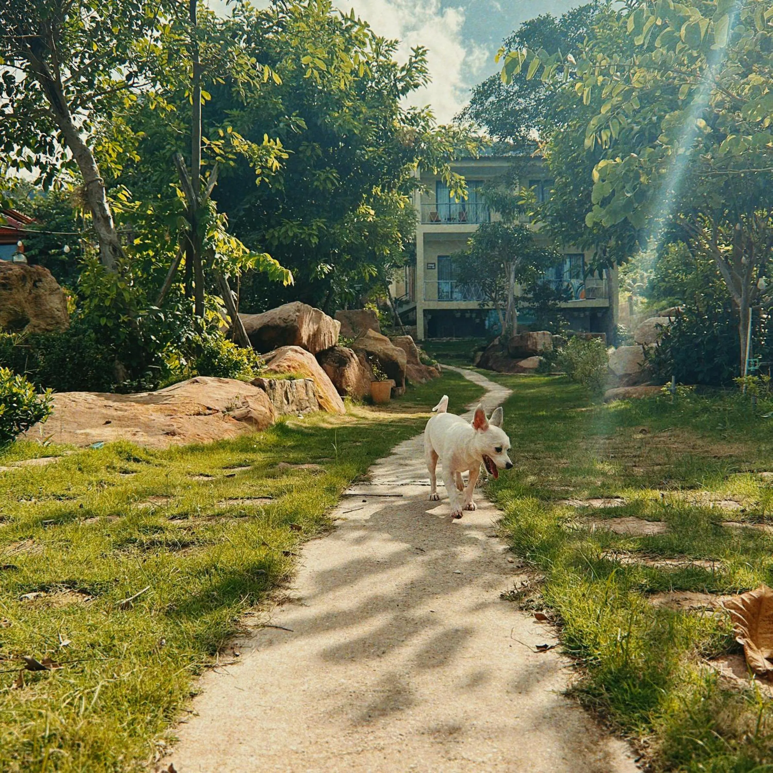 Voyage Phu Quoc Beach Resort