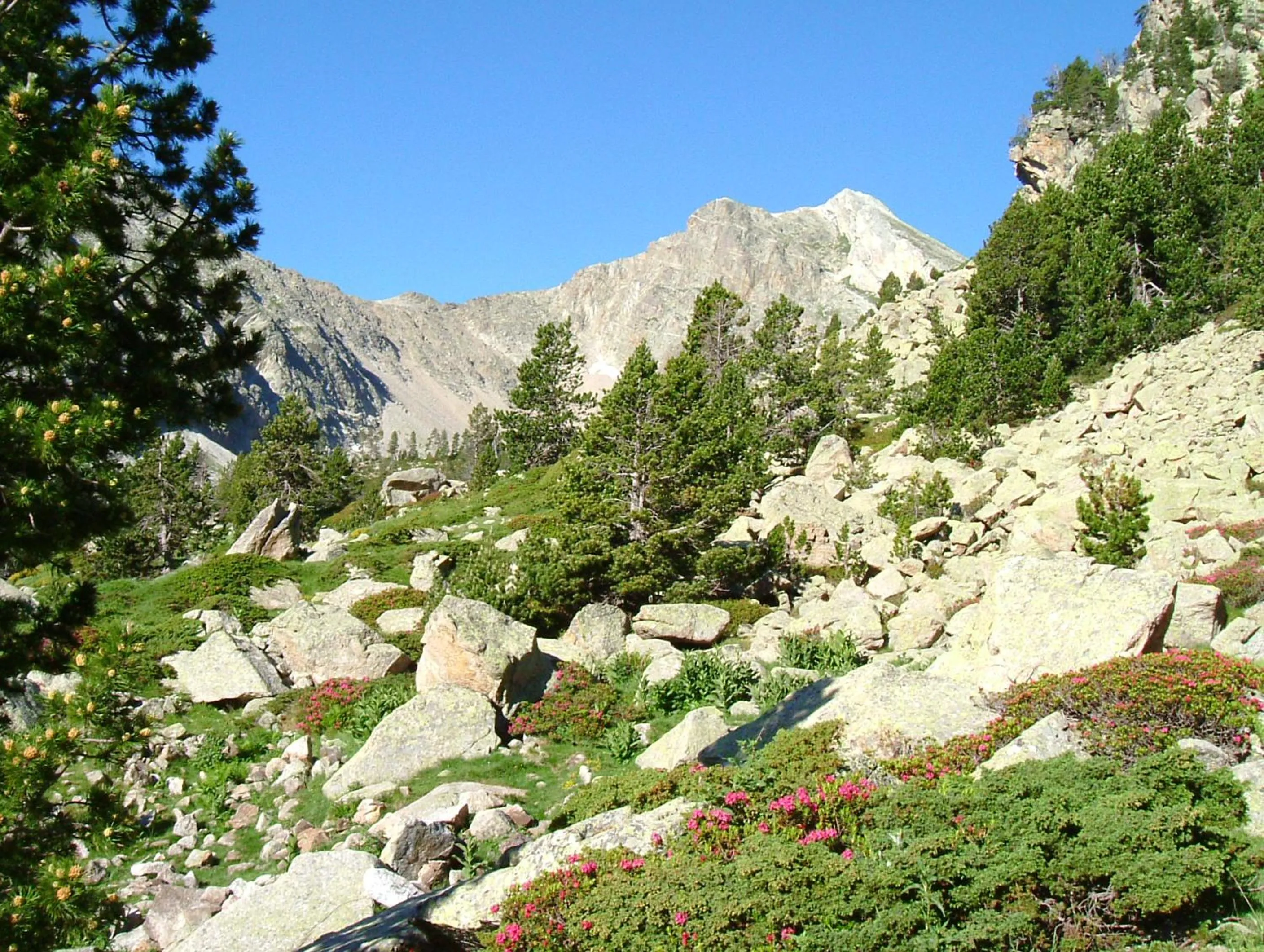 Hiking in Hotel La Coma