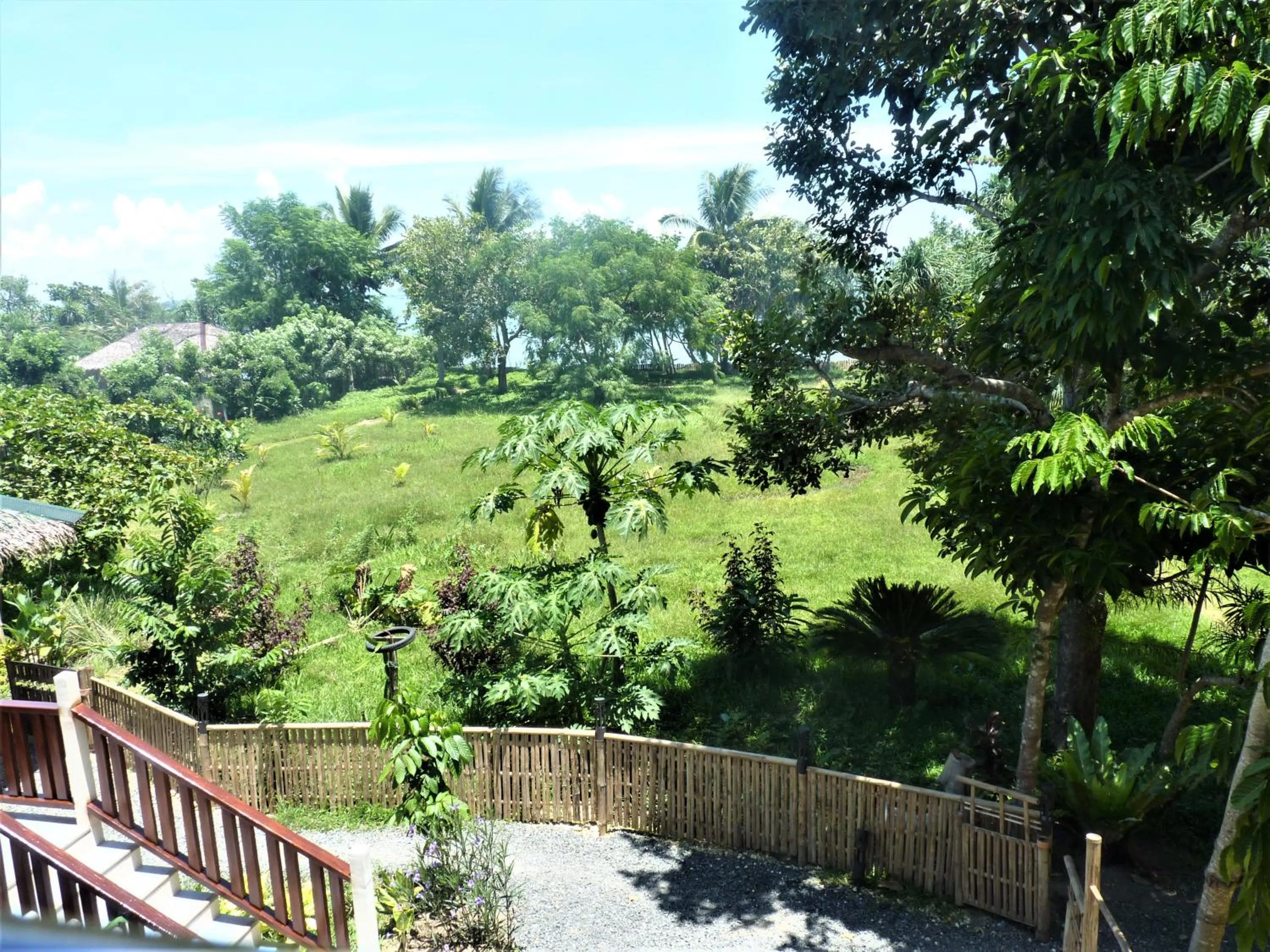 Garden view in The Lazy Tiki