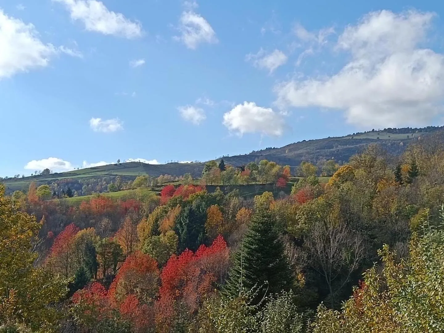 View (from property/room) in Hotel Calitxo