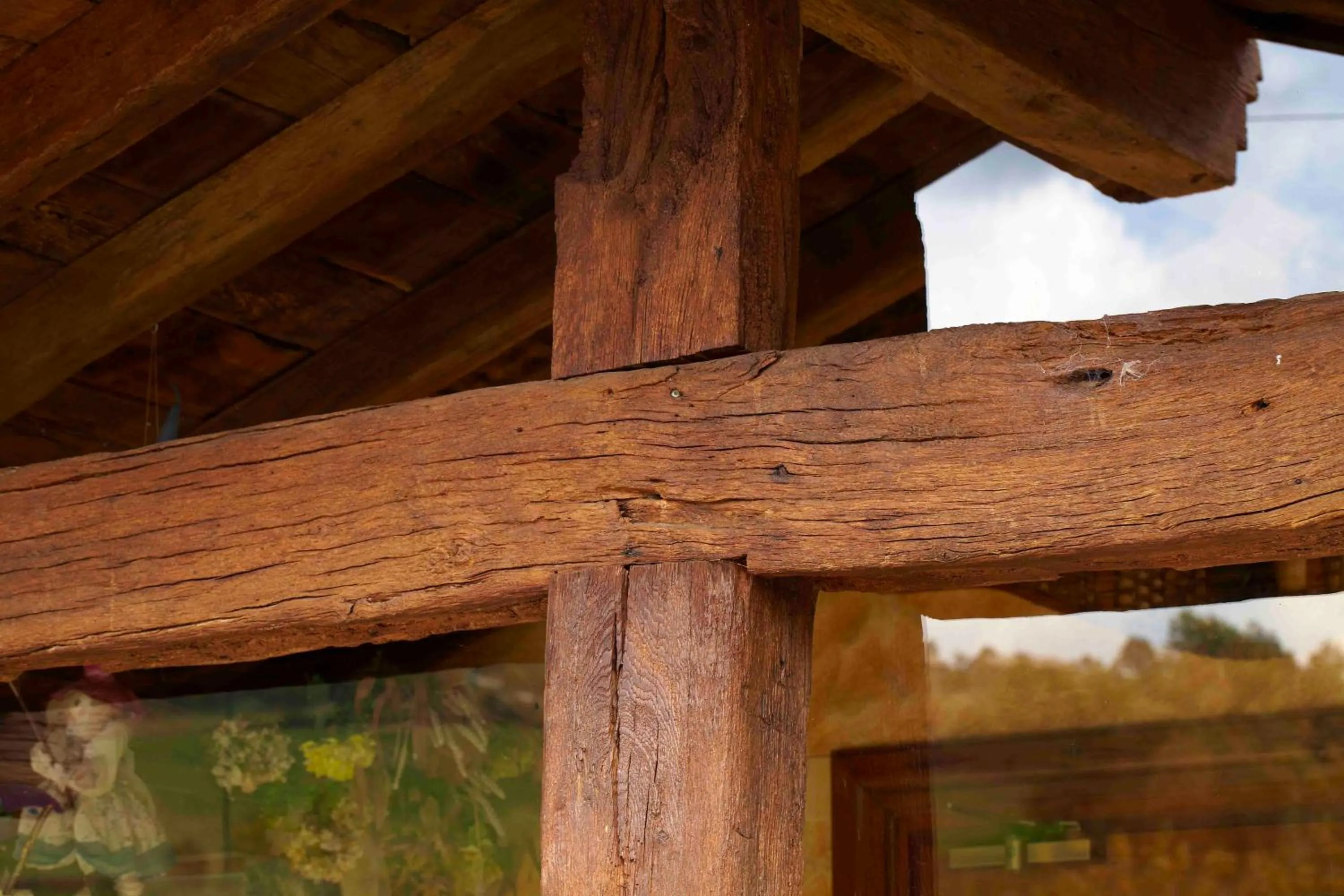 Area and facilities in Hotel Calitxo