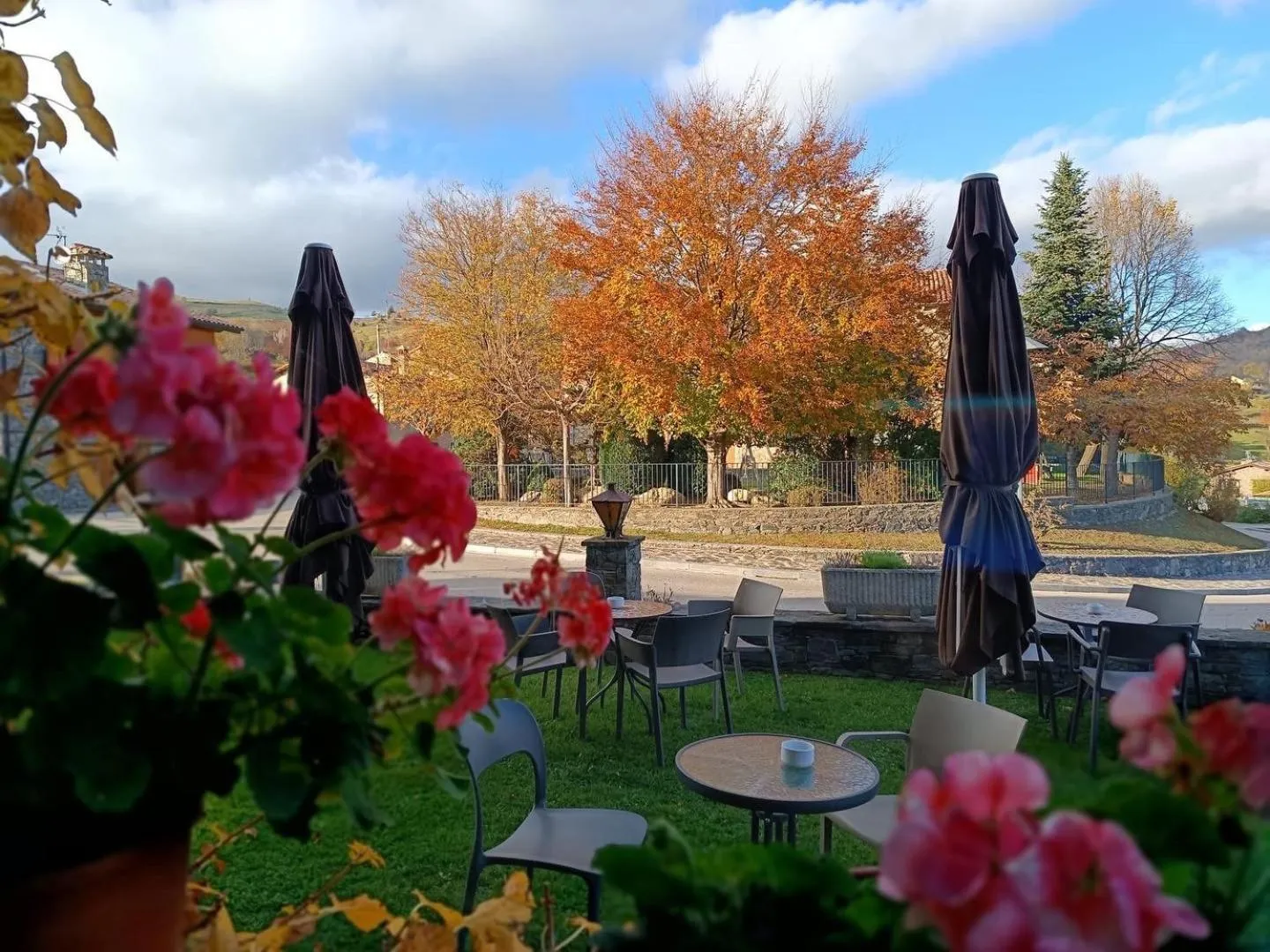 Garden in Hotel Calitxo