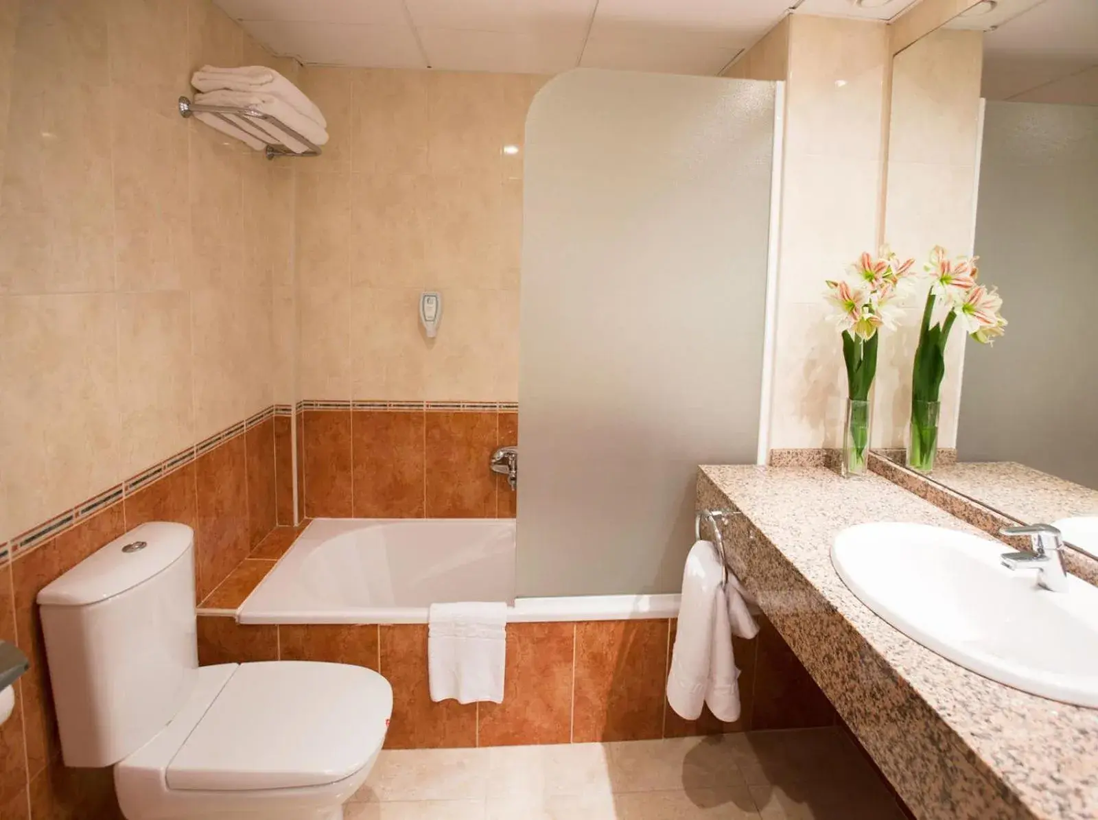 Bathroom in Sol Costa Daurada Bathroom in Sol Costa Daurada