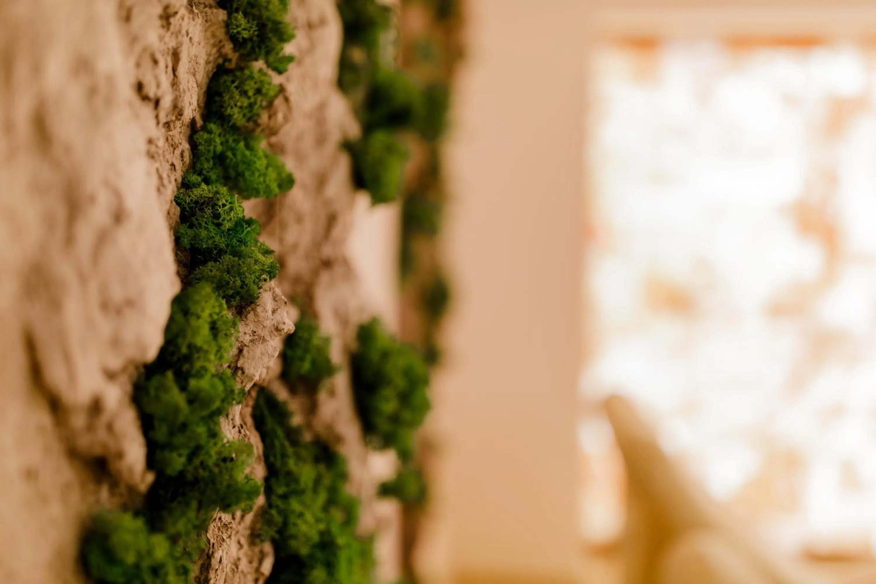 Muller Hotel Boutique & Spa