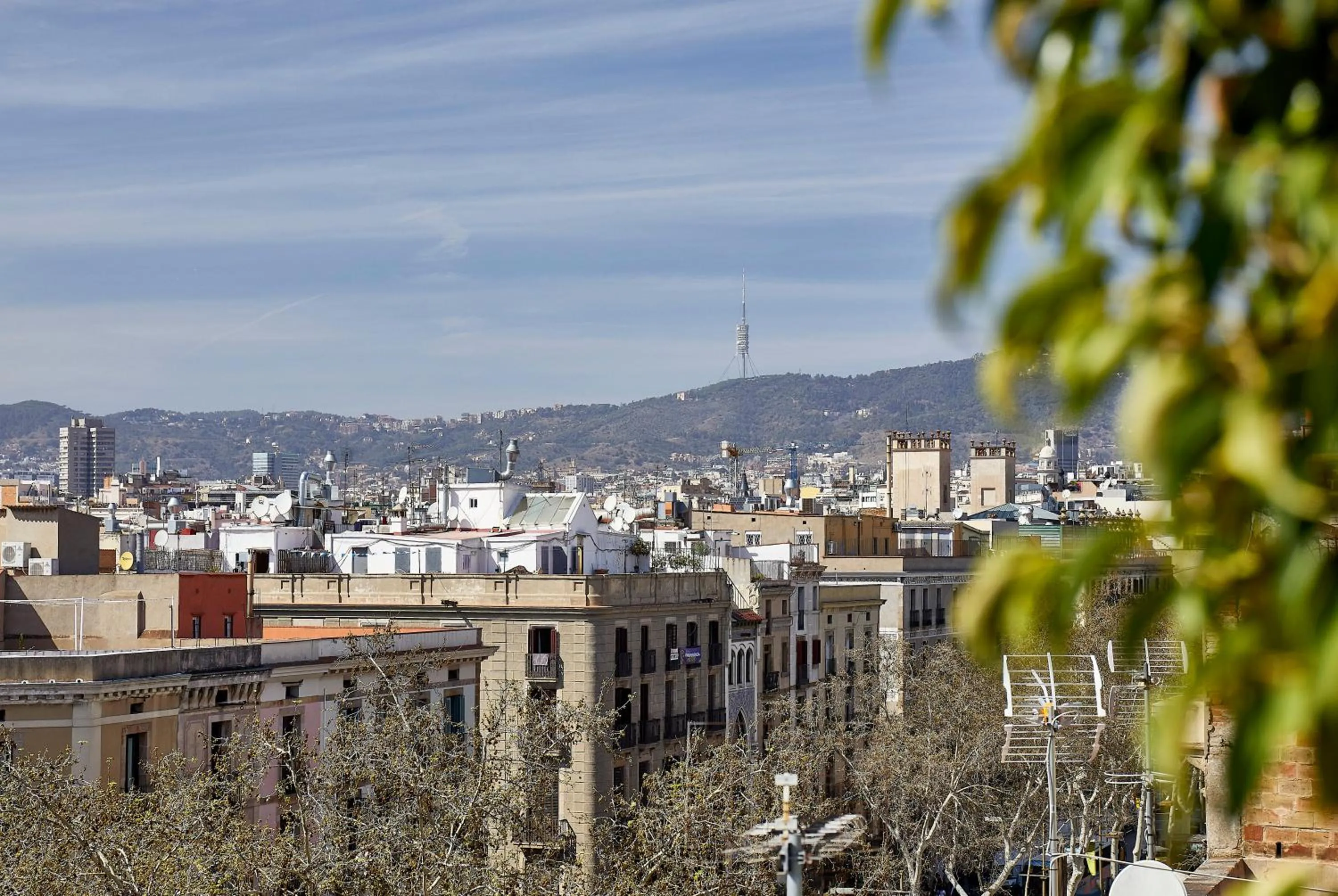 View (from property/room) in Flor Parks