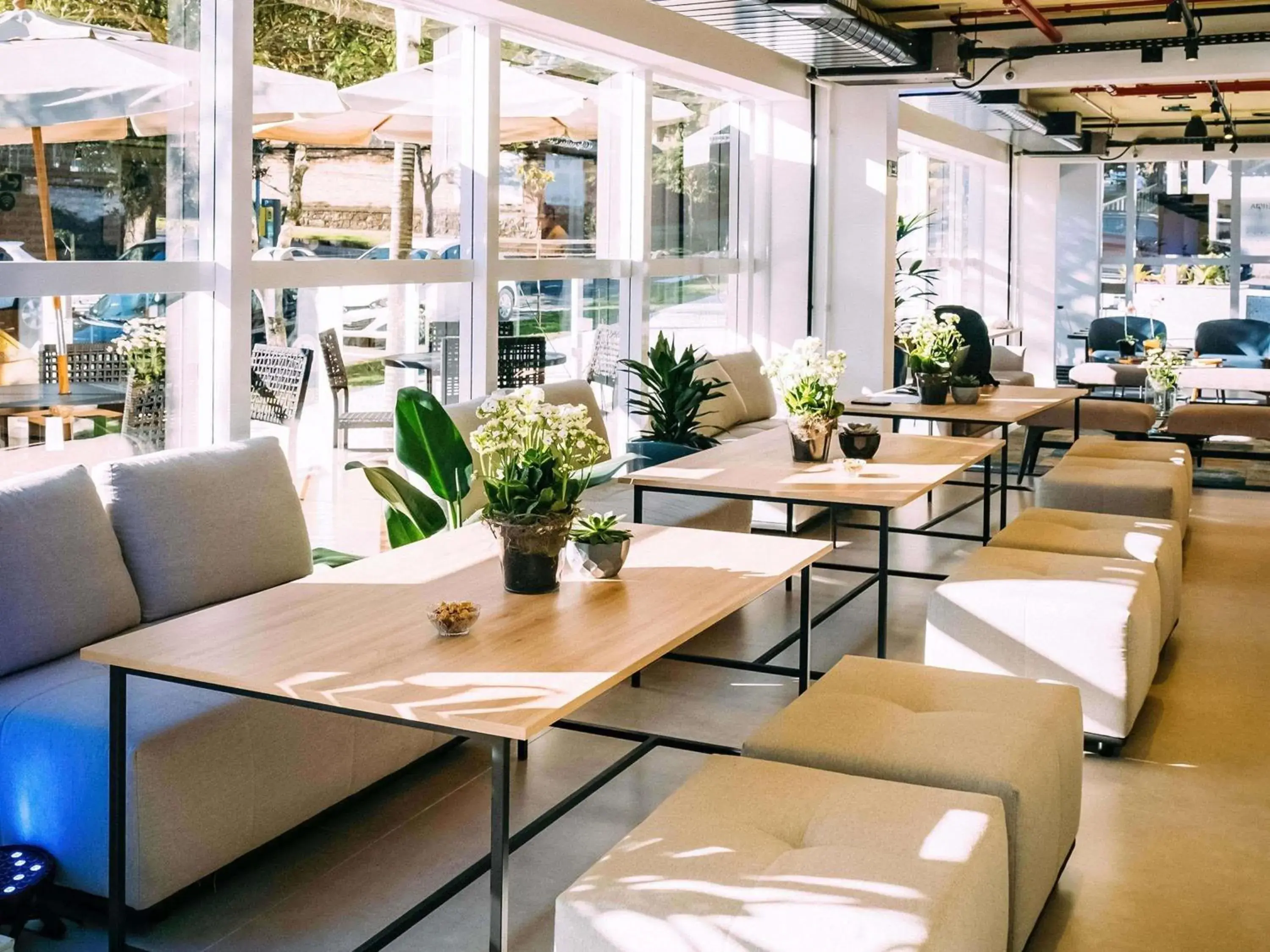 Restaurant/places to eat in ibis Styles Poços de Caldas Restaurant/places to eat in ibis Styles Poços de Caldas