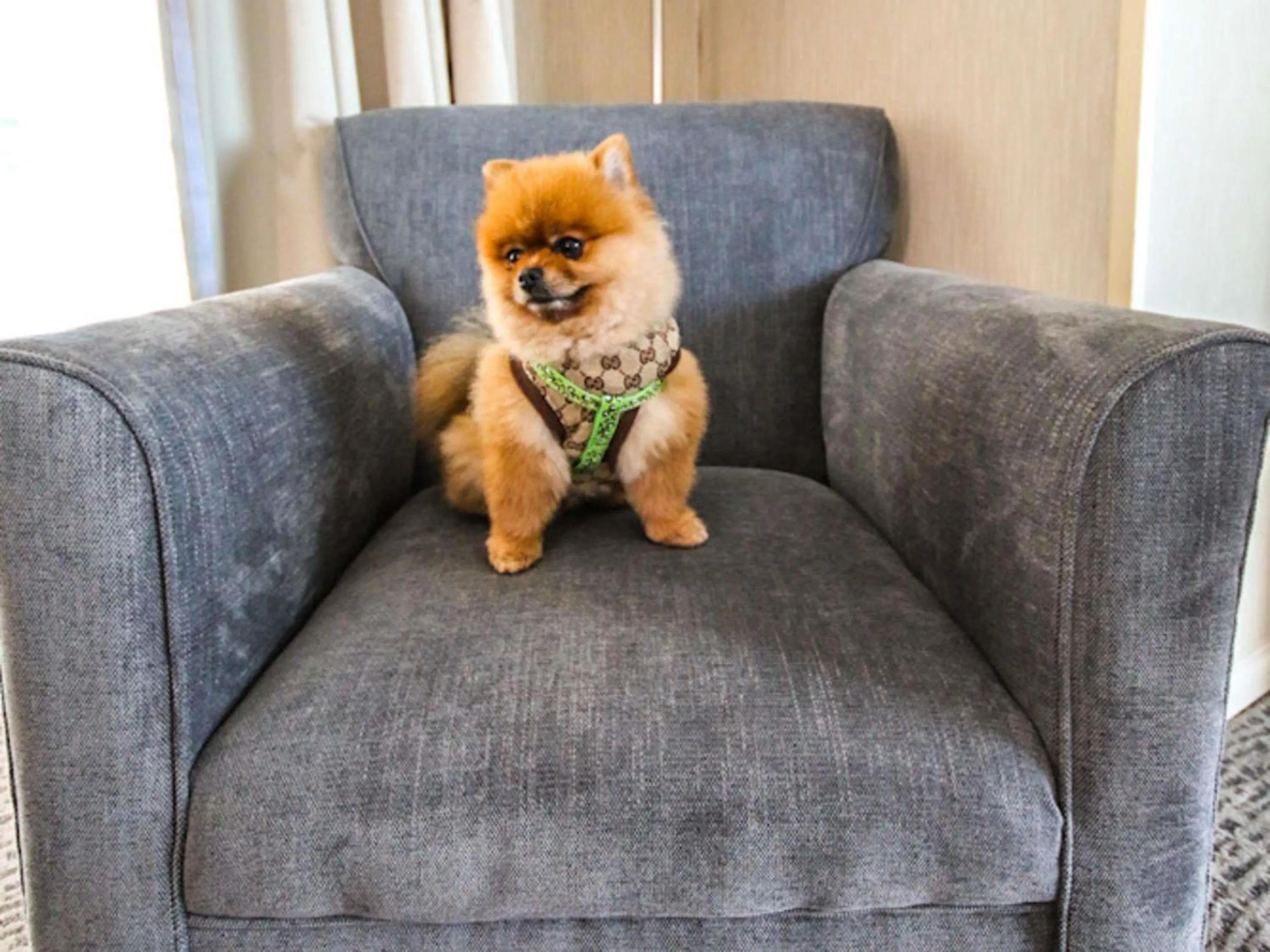 Bedroom in Novotel Puerto Montt