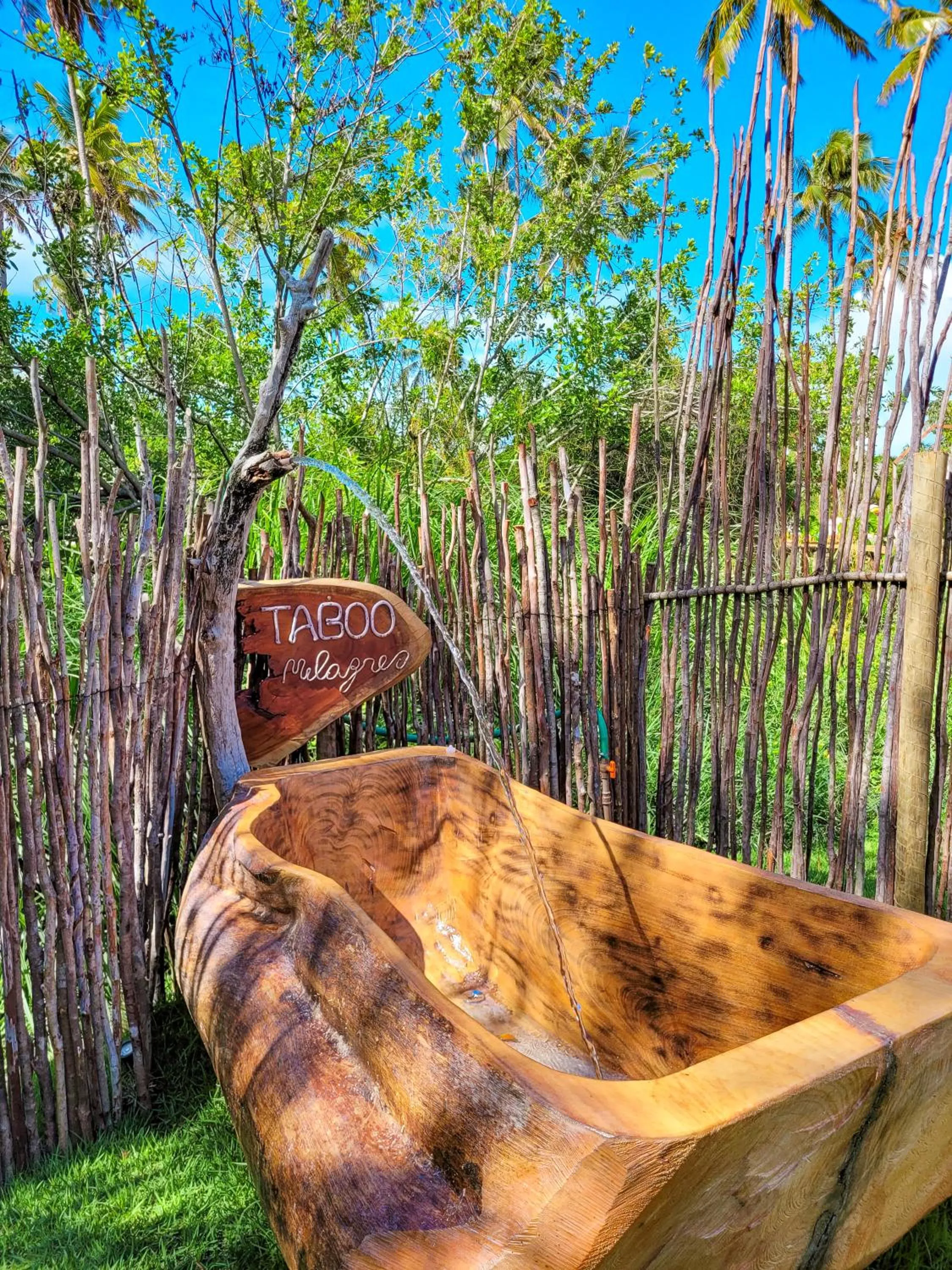 Natural landscape in Taboo Milagres